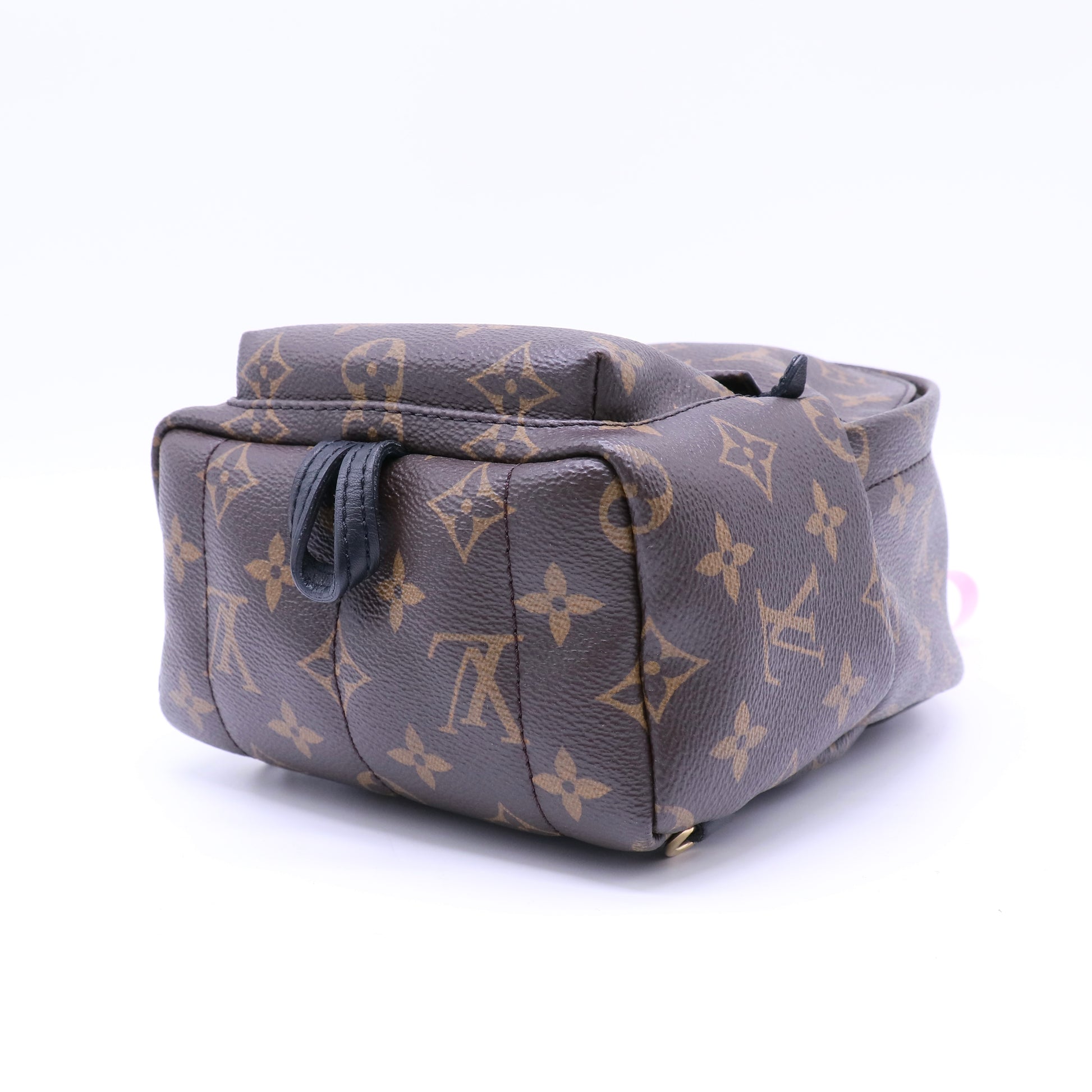 Palm Springs Backpack Monogram Canvas Mini Twins LDJ4310