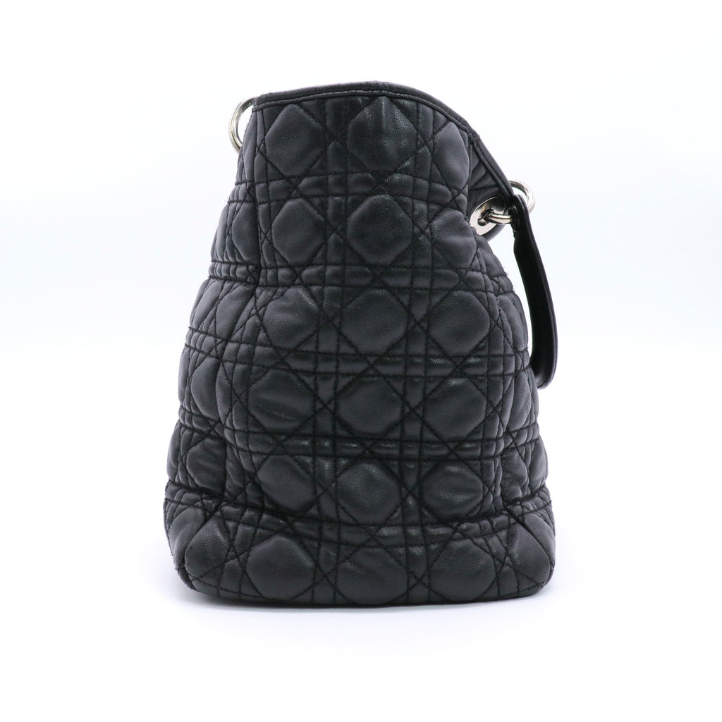 Soft Lady Dior Tote twins