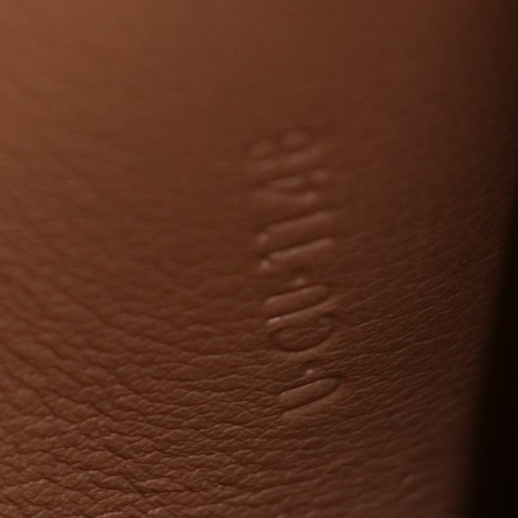 Celine Shiny Smooth Calfskin Medium Frame Shoulder Bag Tan Optic White twins LDJ3663