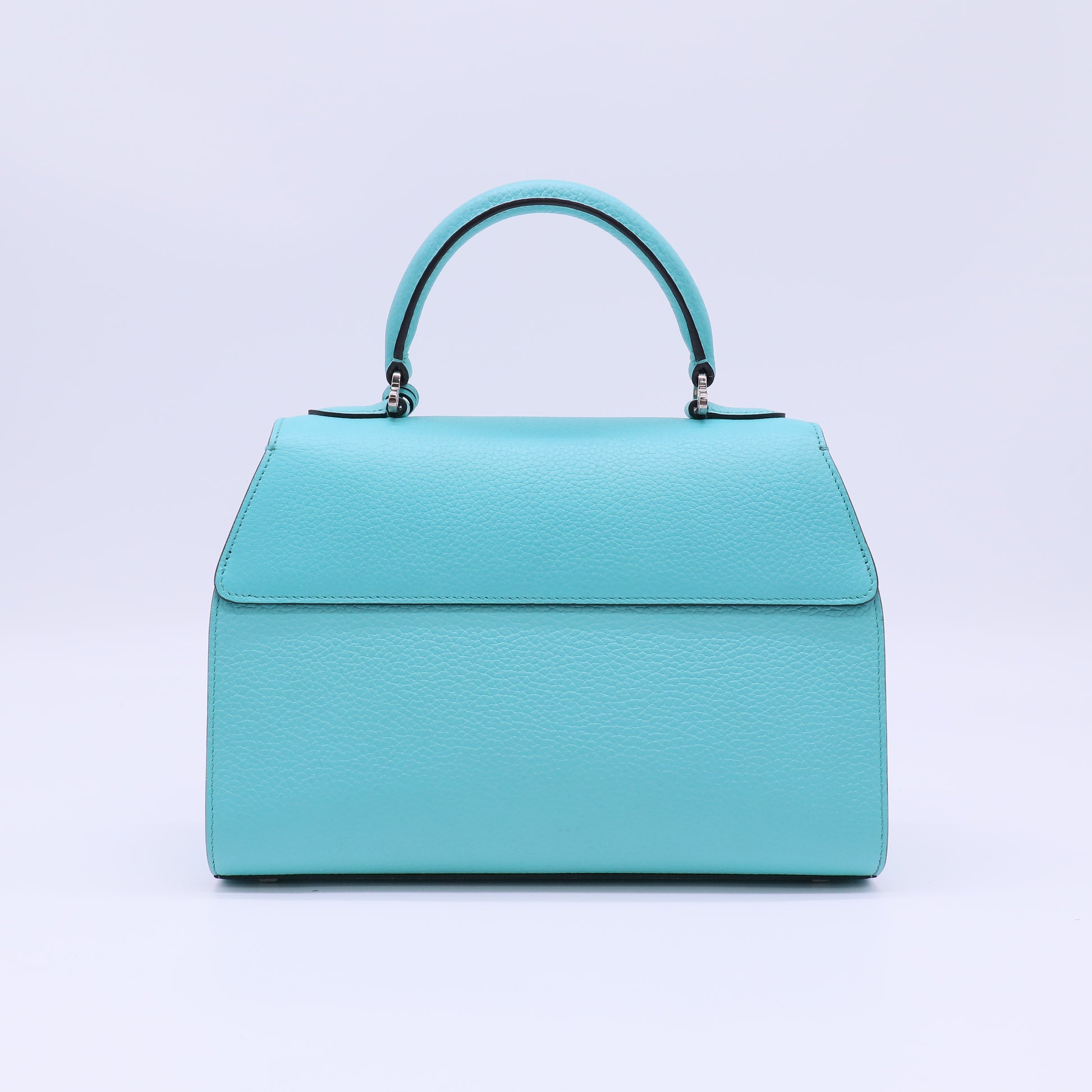 Moynat Réjane PM Handbag B22696