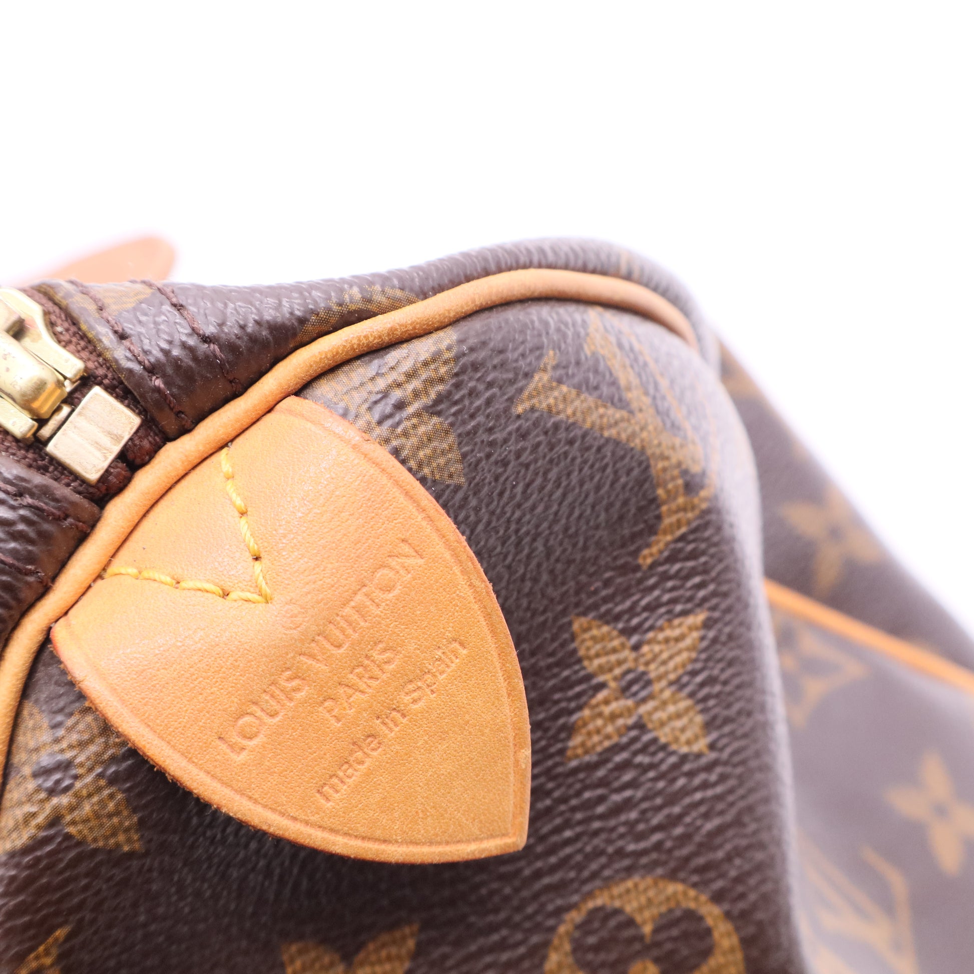 Speedy Handbag Monogram Canvas 30