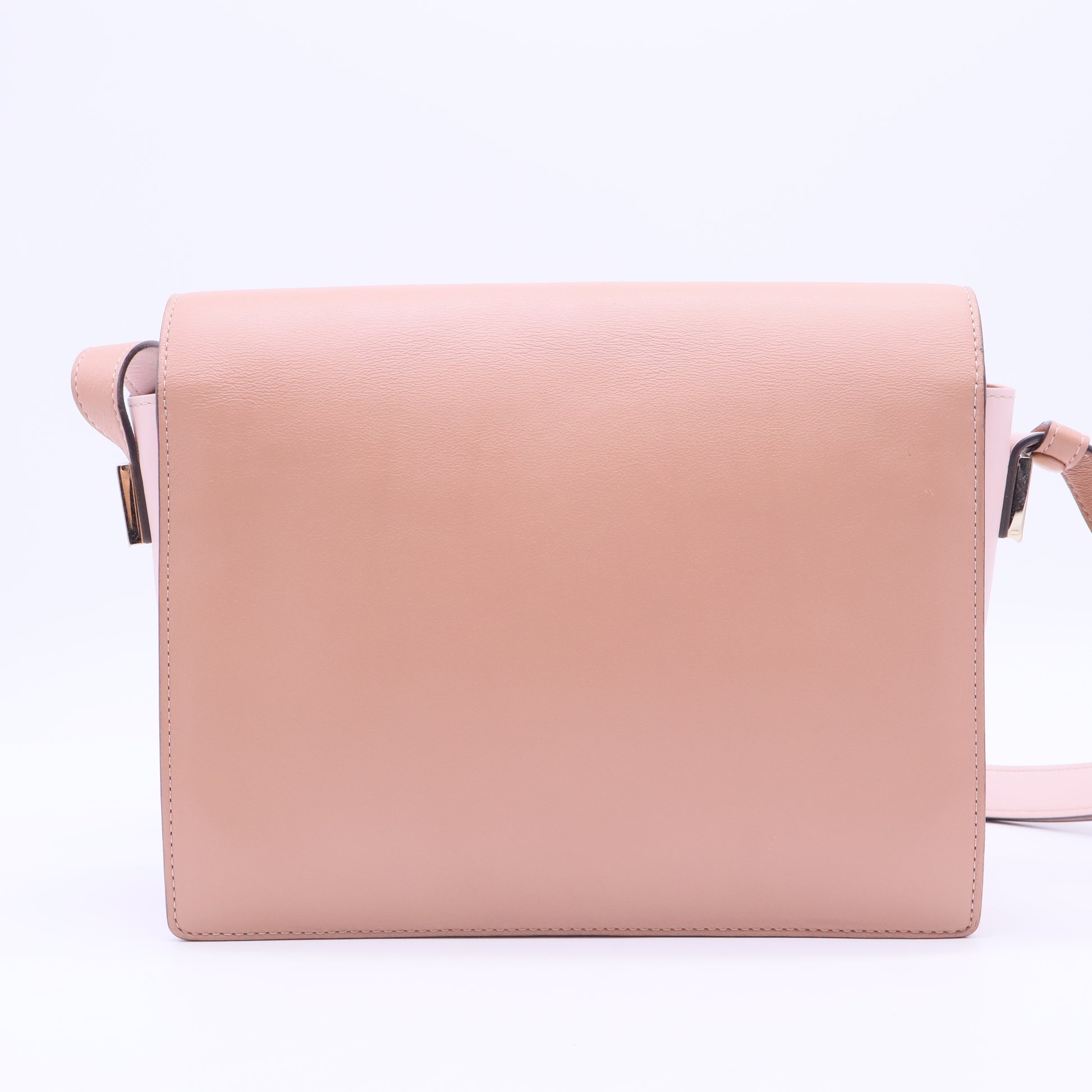 Madame PM Nude Leather Crossbody