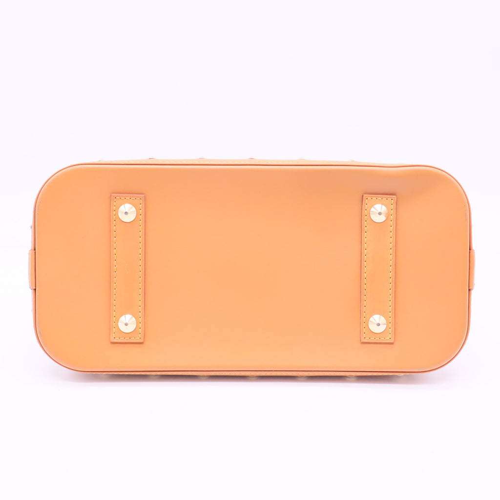 Multicolore Monogram Alma PM