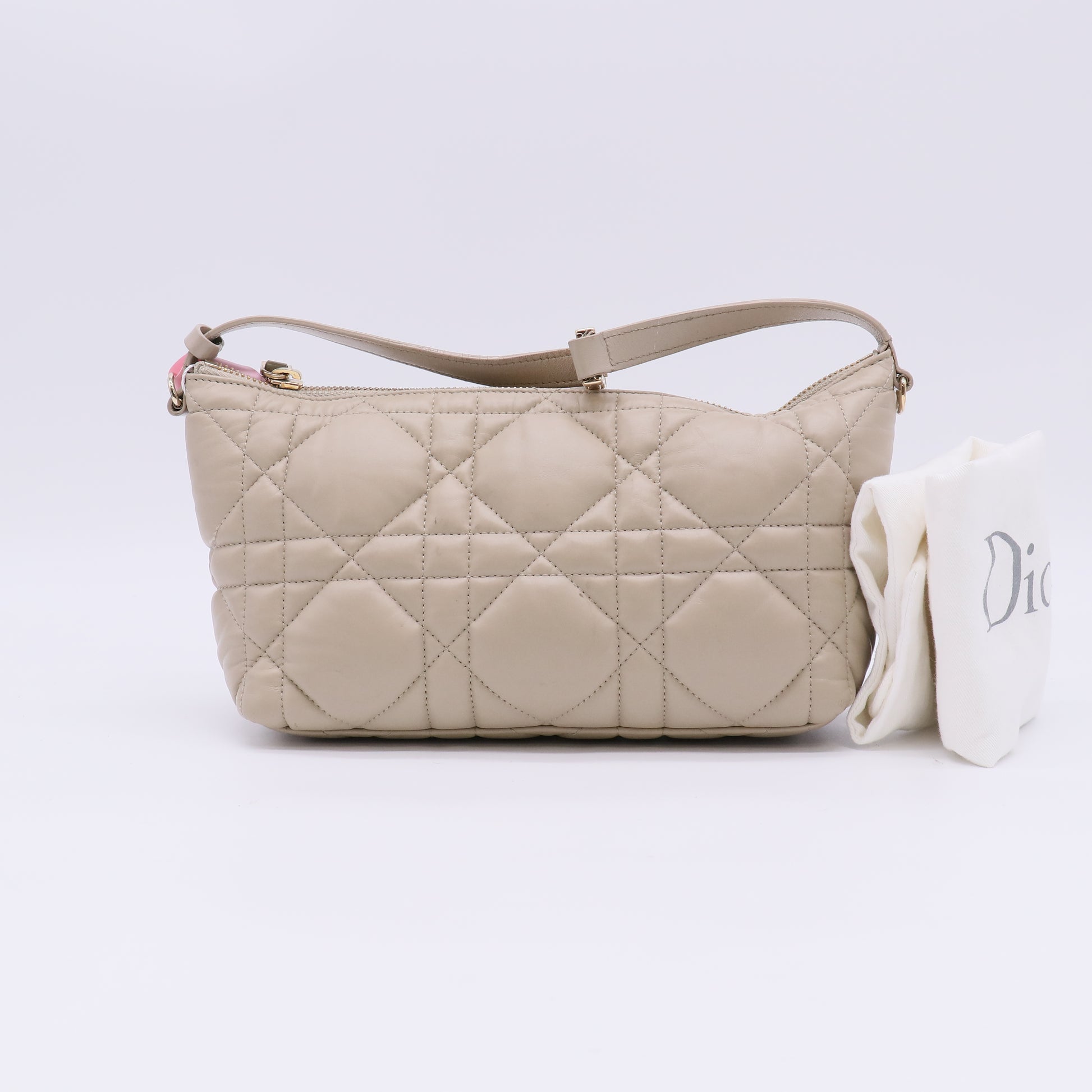 Christian Dior DiorTravel Nomad Pouch twins LDJ5118