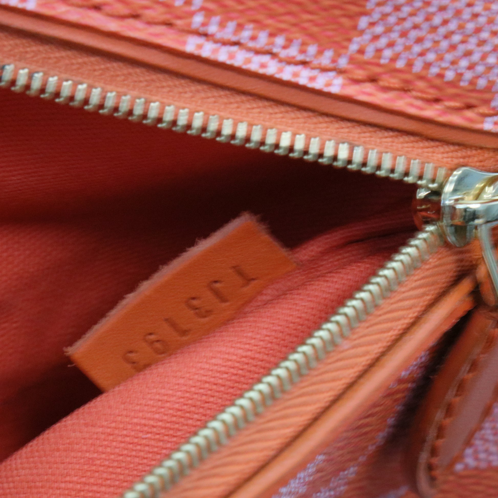 Damier Couleur Mobil Tote