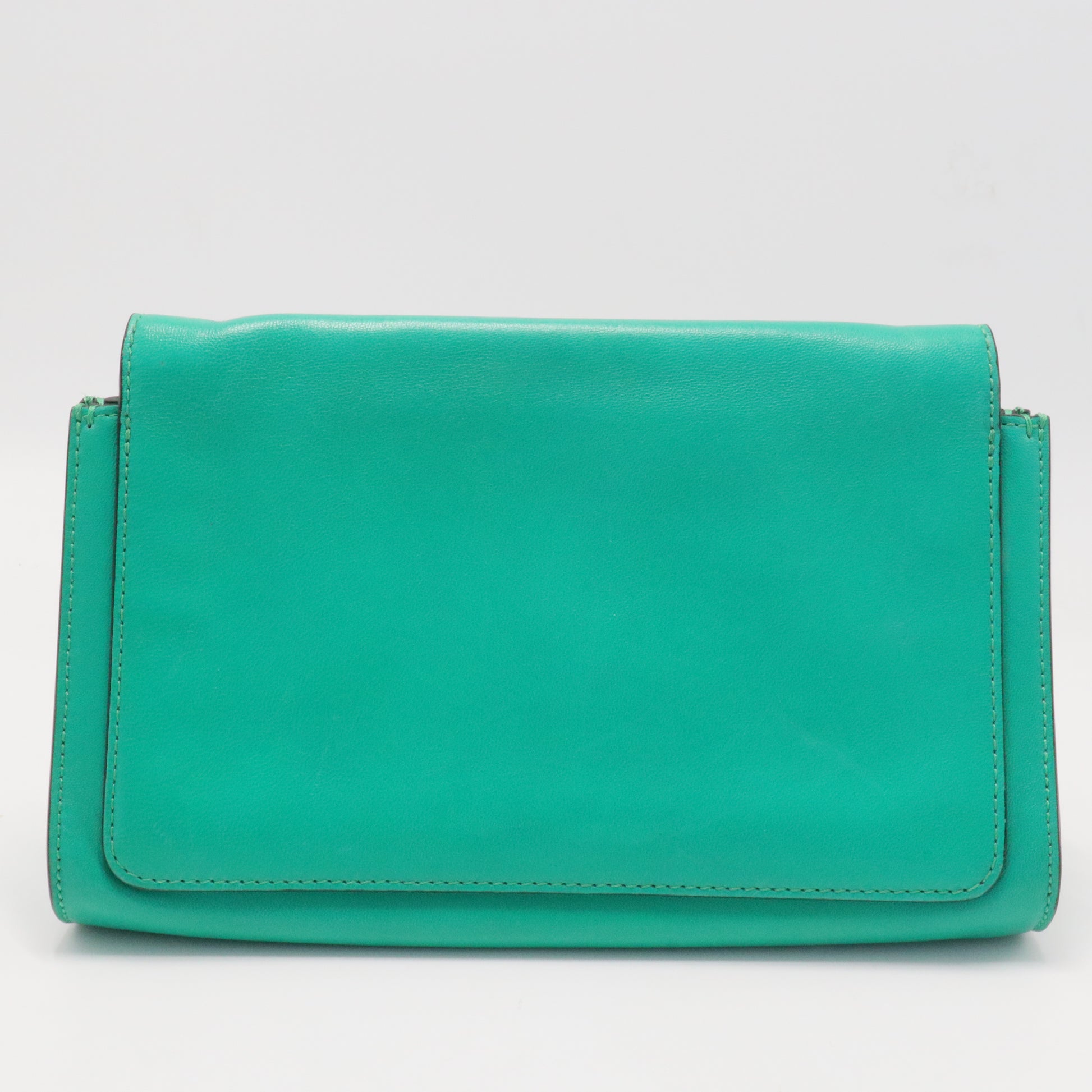 Elle Chain Clutch Python Medium