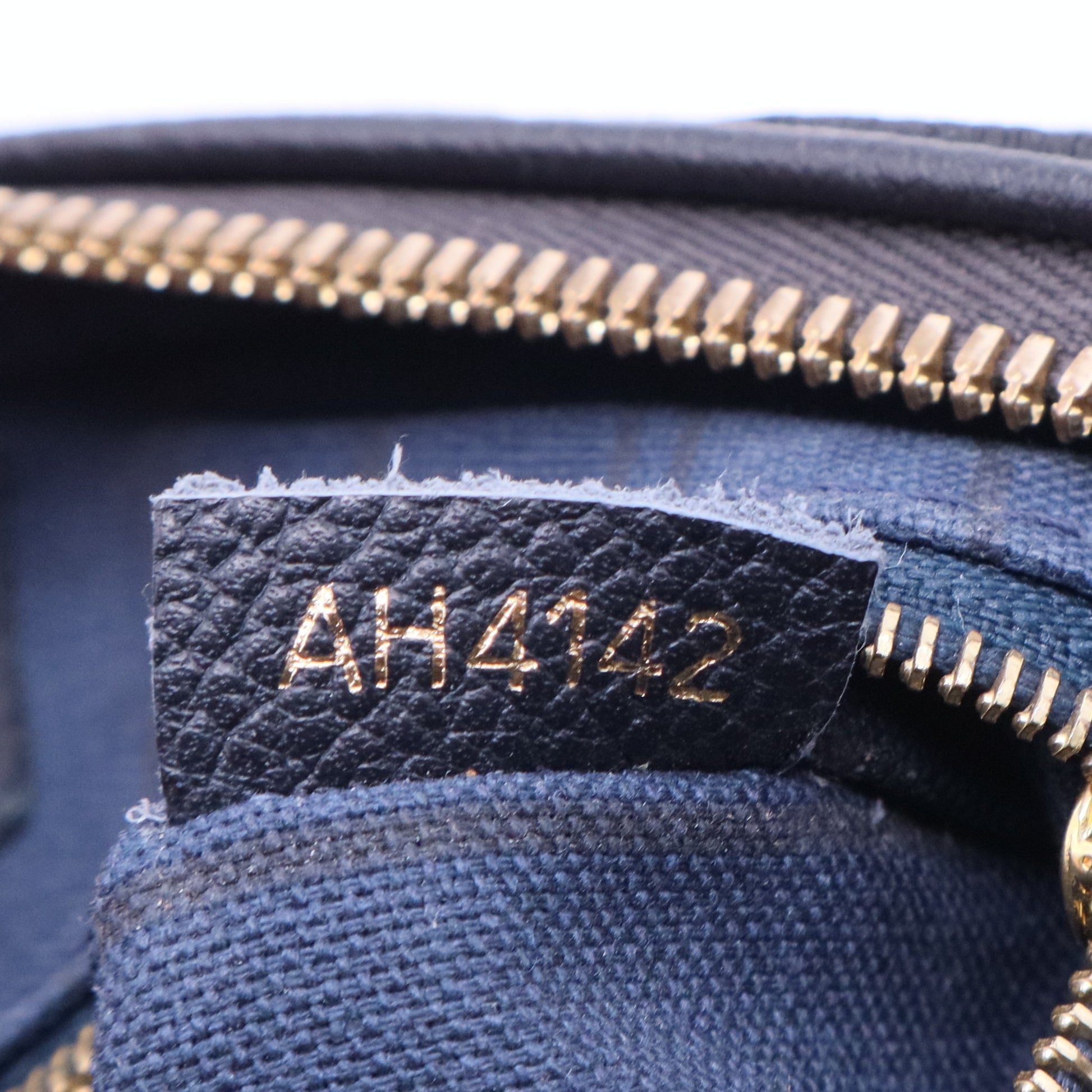 Speedy Bandouliere Bag Monogram Empreinte Leather 25 Twins