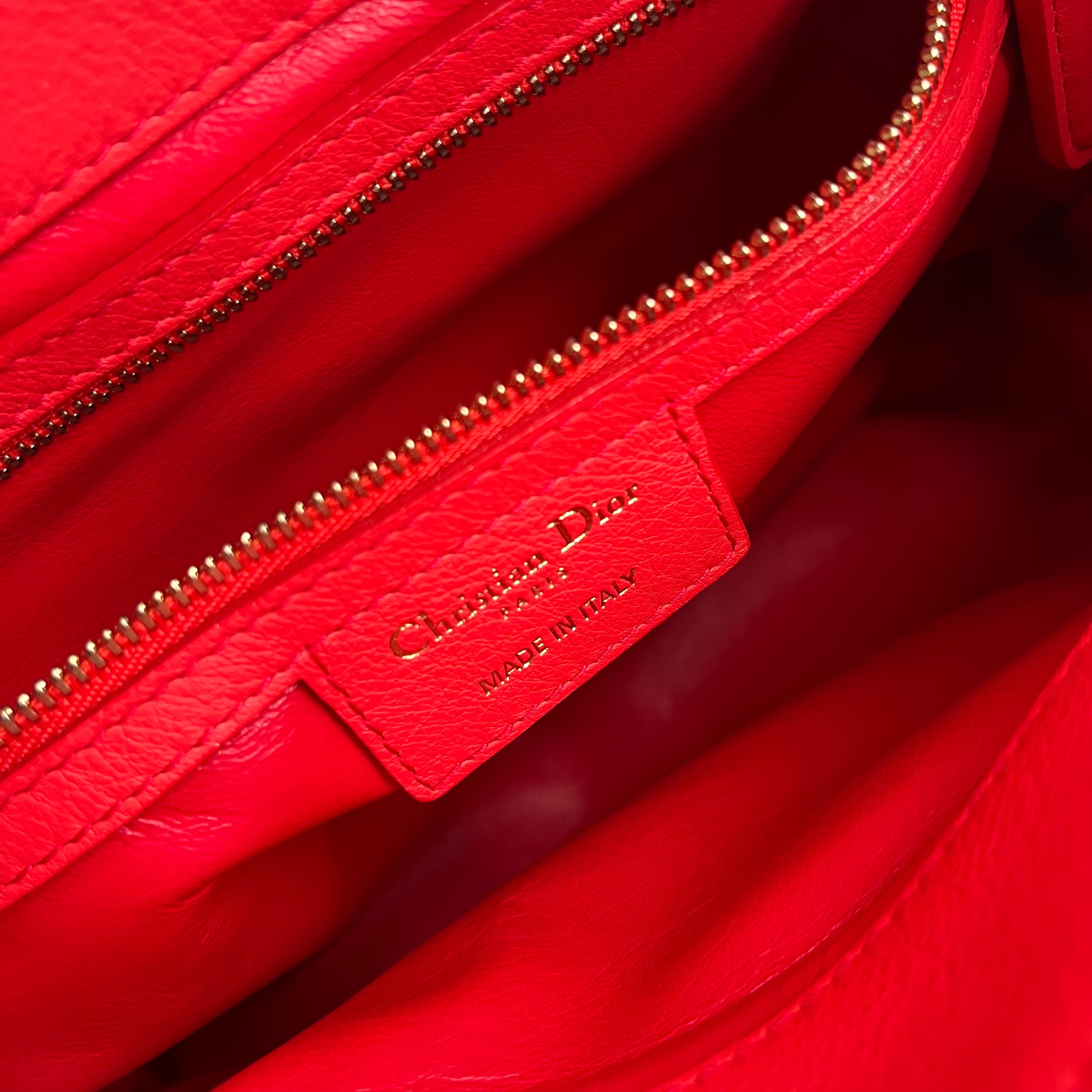 Dior Red Leather Large Diorling Shoulder Bag twins