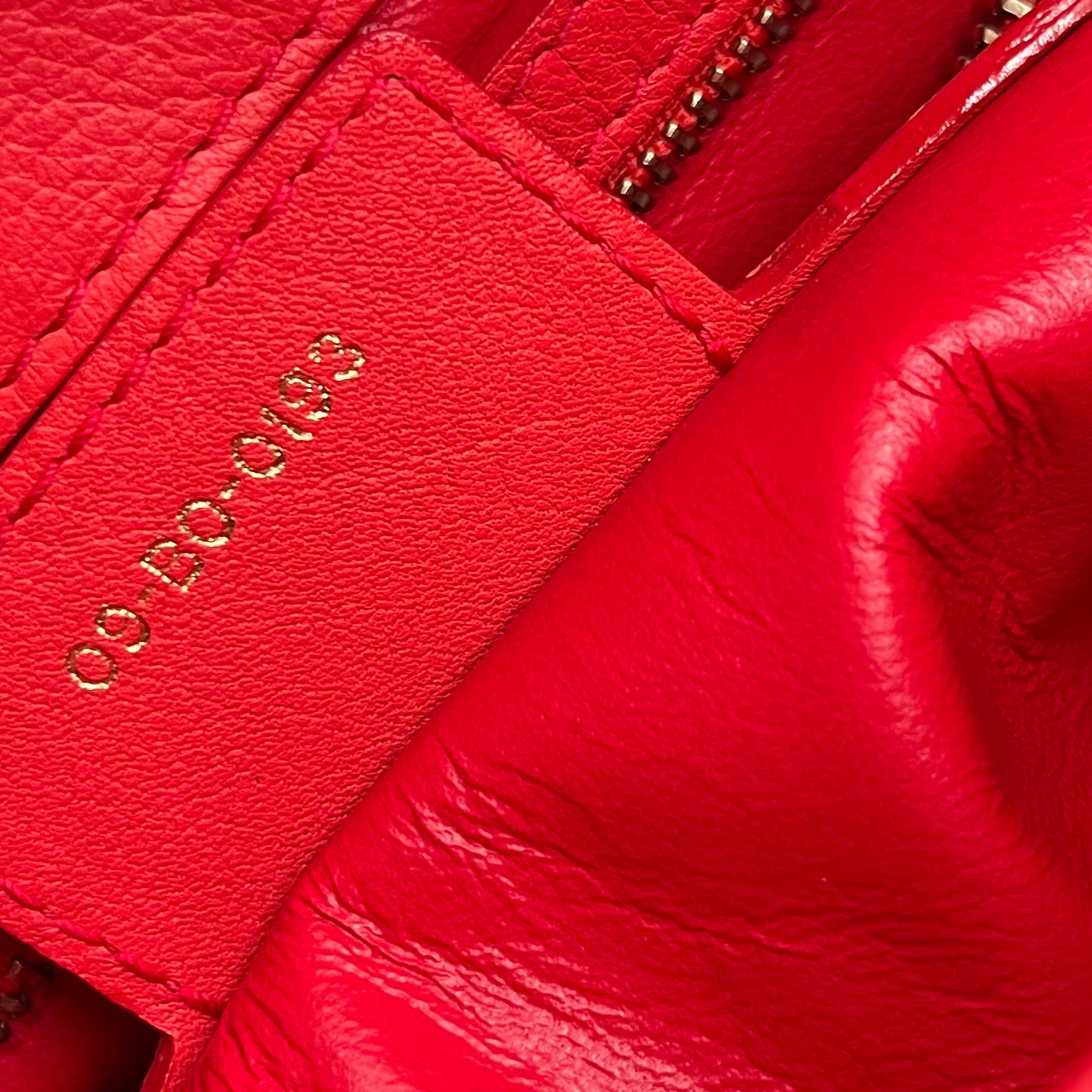 Dior Red Leather Large Diorling Shoulder Bag twins