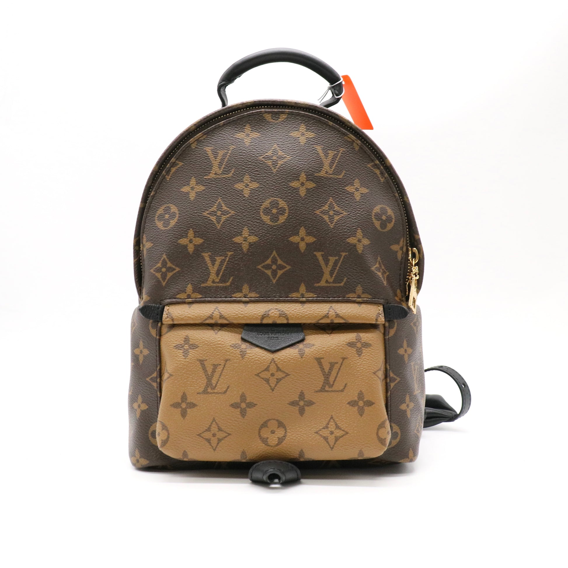 Louis Vuitton Monogram Canvas Reverse Palm Springs PM Backpack Bag twins LDZ581