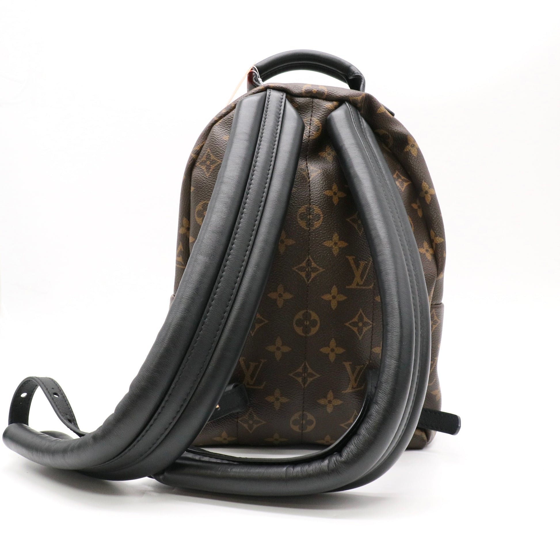 Louis Vuitton Monogram Canvas Reverse Palm Springs PM Backpack Bag twins LDZ581