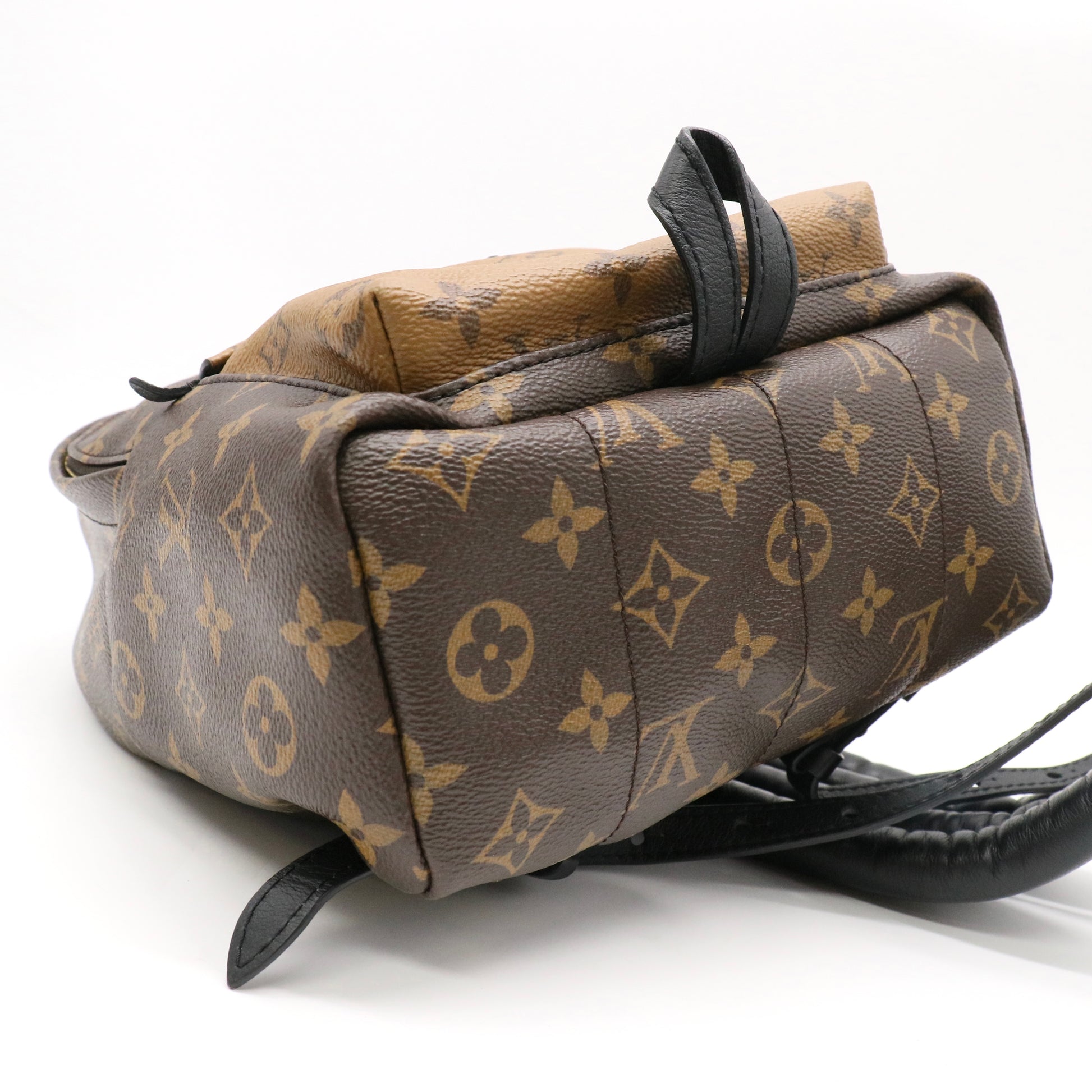 Louis Vuitton Monogram Canvas Reverse Palm Springs PM Backpack Bag twins LDZ581