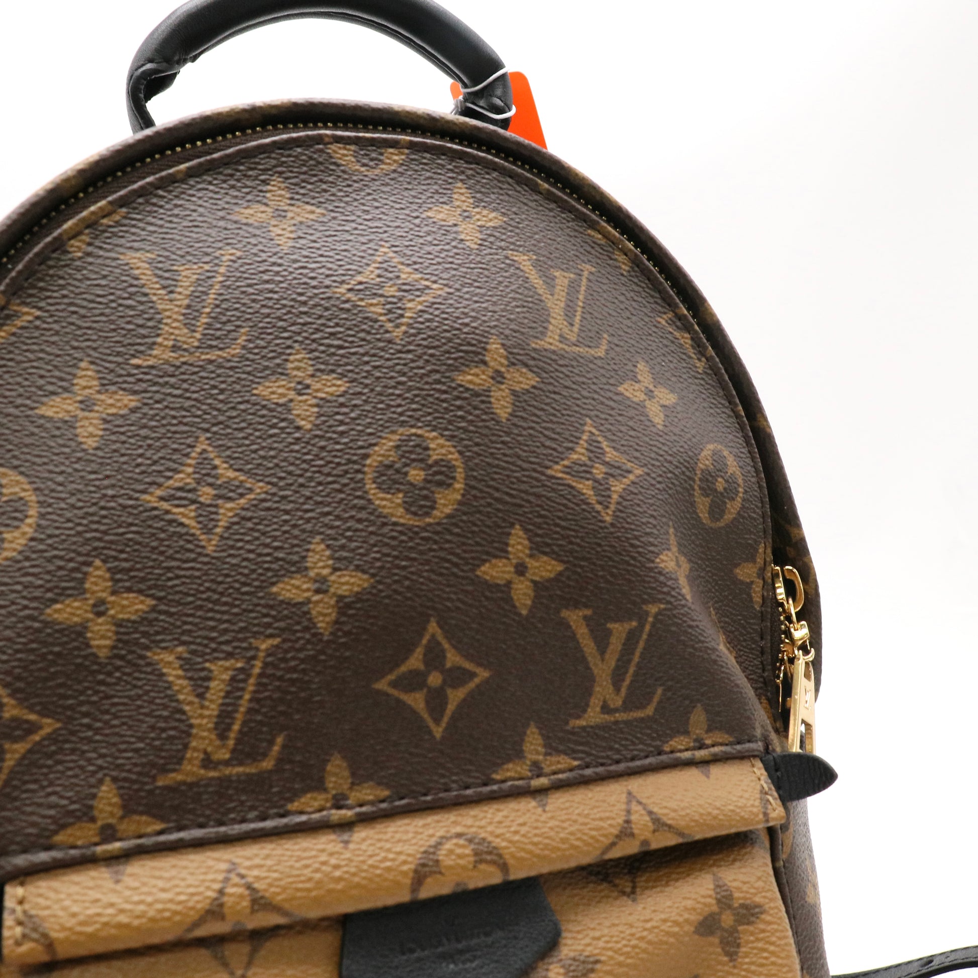 Louis Vuitton Monogram Canvas Reverse Palm Springs PM Backpack Bag twins LDZ581