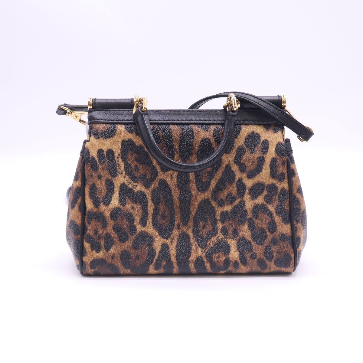 Leather Sicily Leopard Print Coated Small B24239