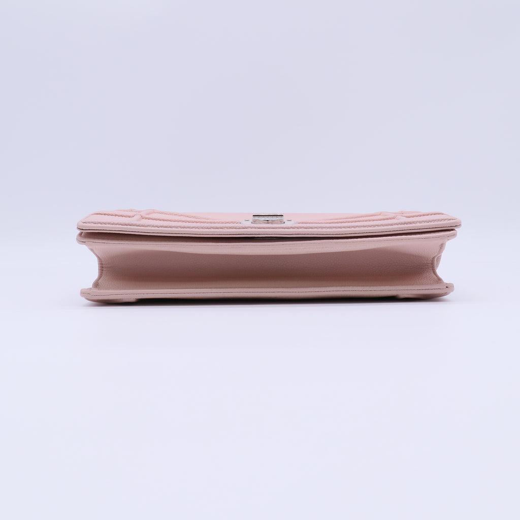 Christian Dior Diorama flap bag B22134