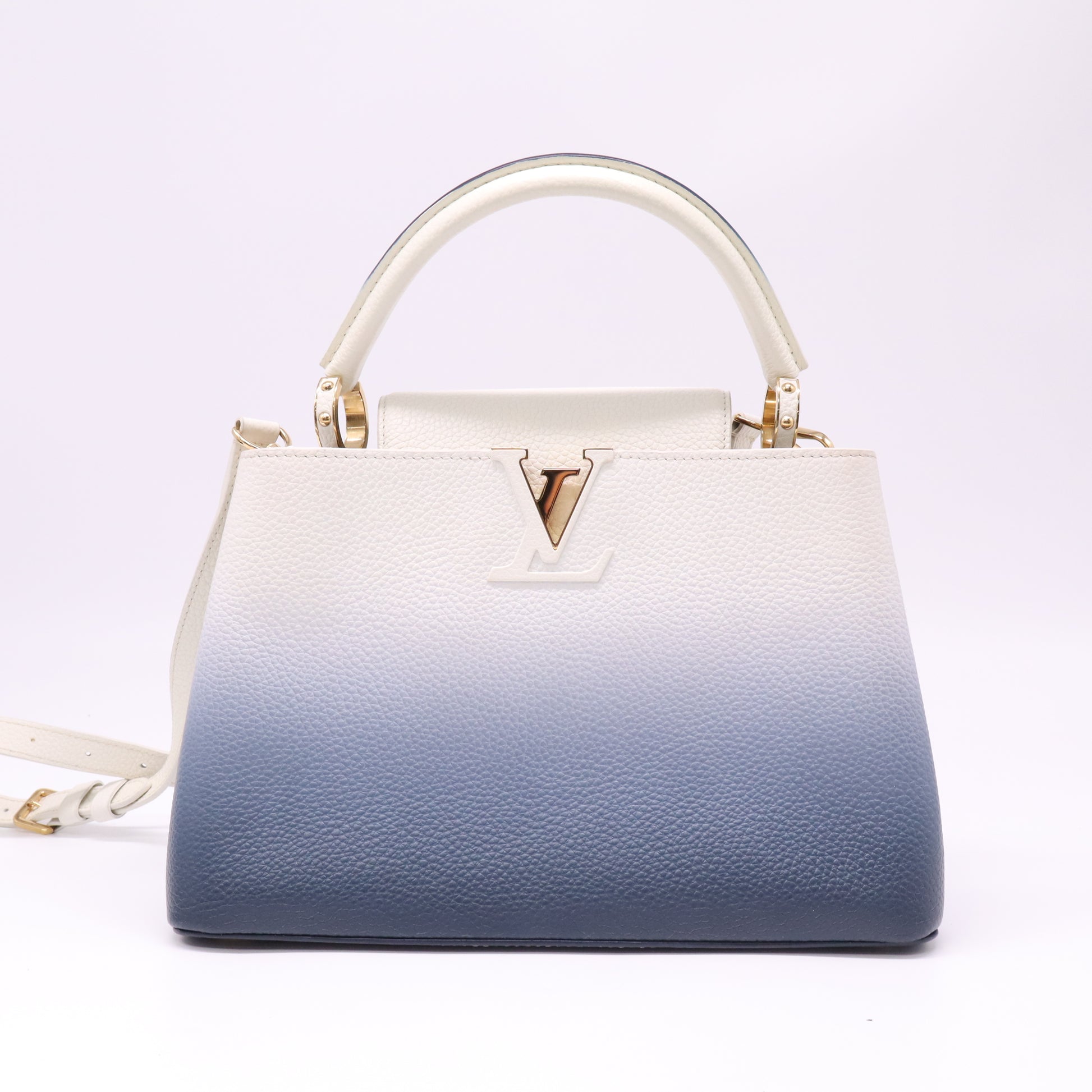 Capucines Bag Ombre Leather PM B22381
