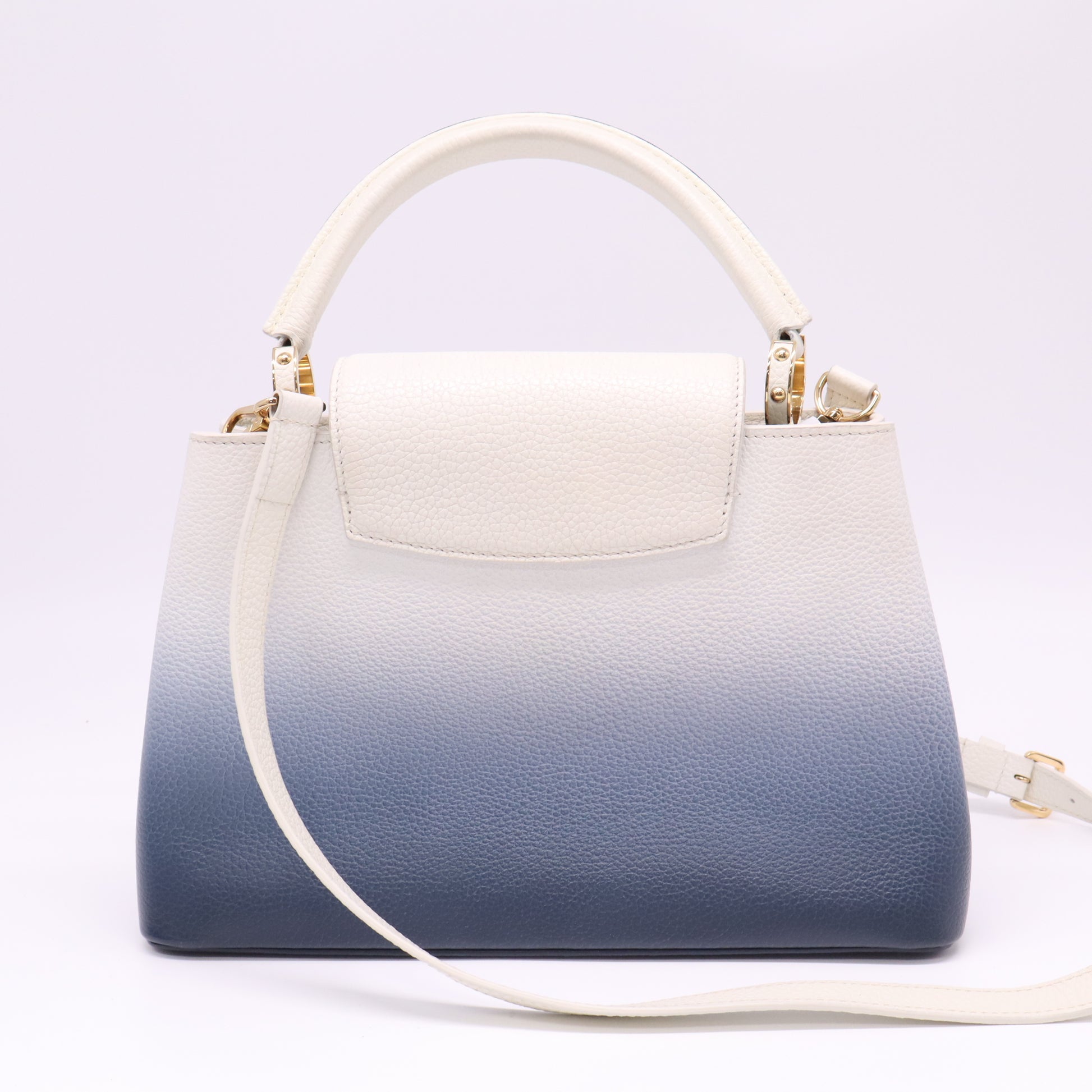 Capucines Bag Ombre Leather PM B22381