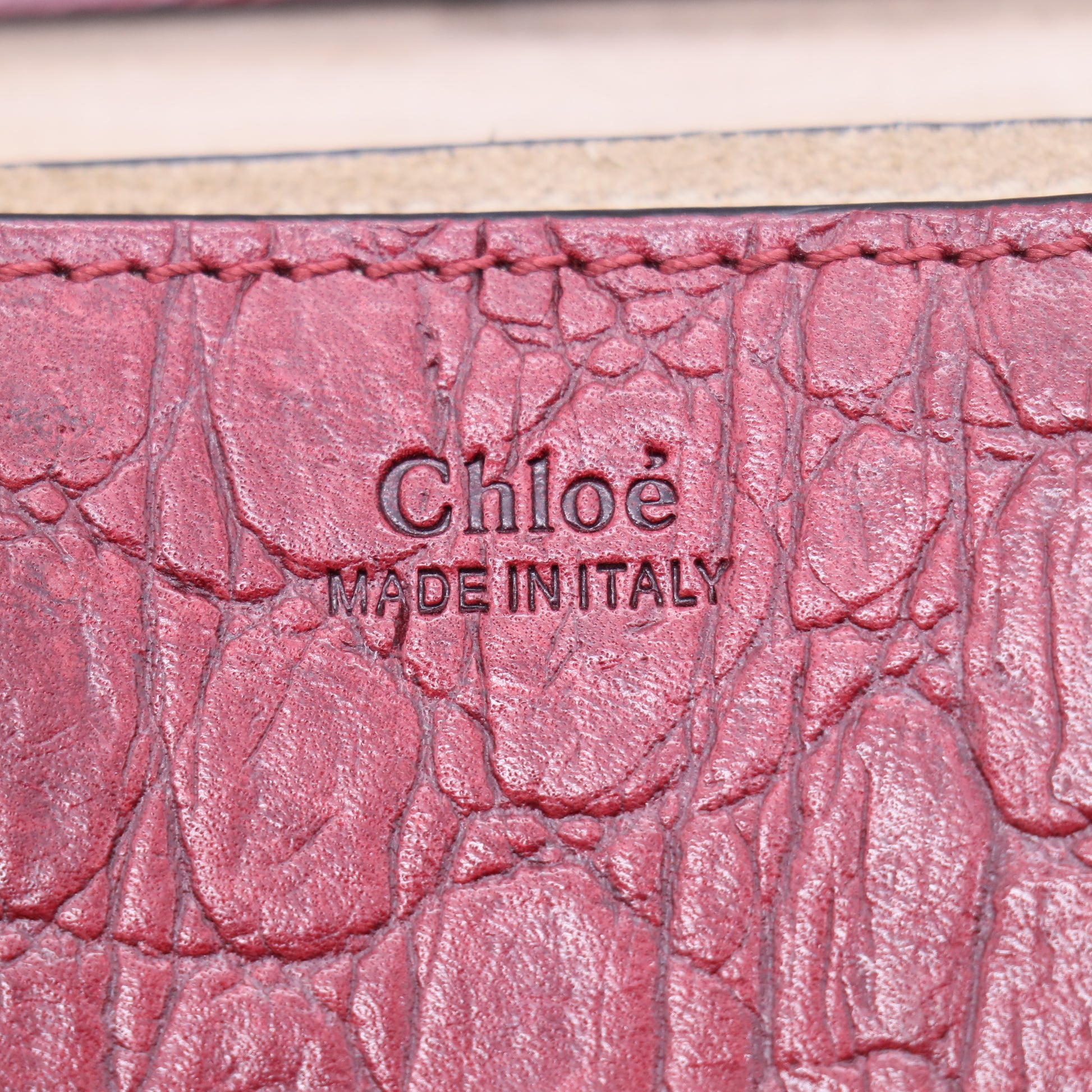 Drew Crossbody Bag Crocodile Embossed Leather Mini  B20840