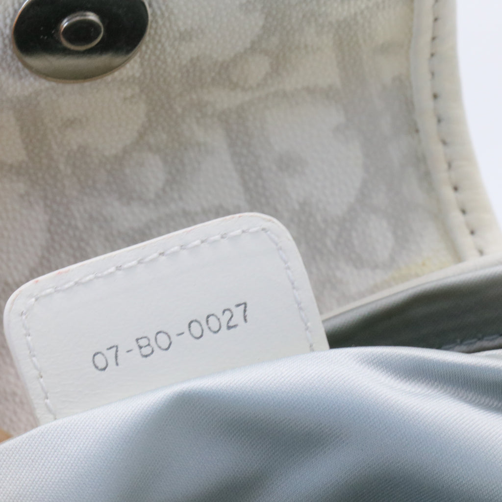 Christian Dior  Monogram Romantique Trotter Bag