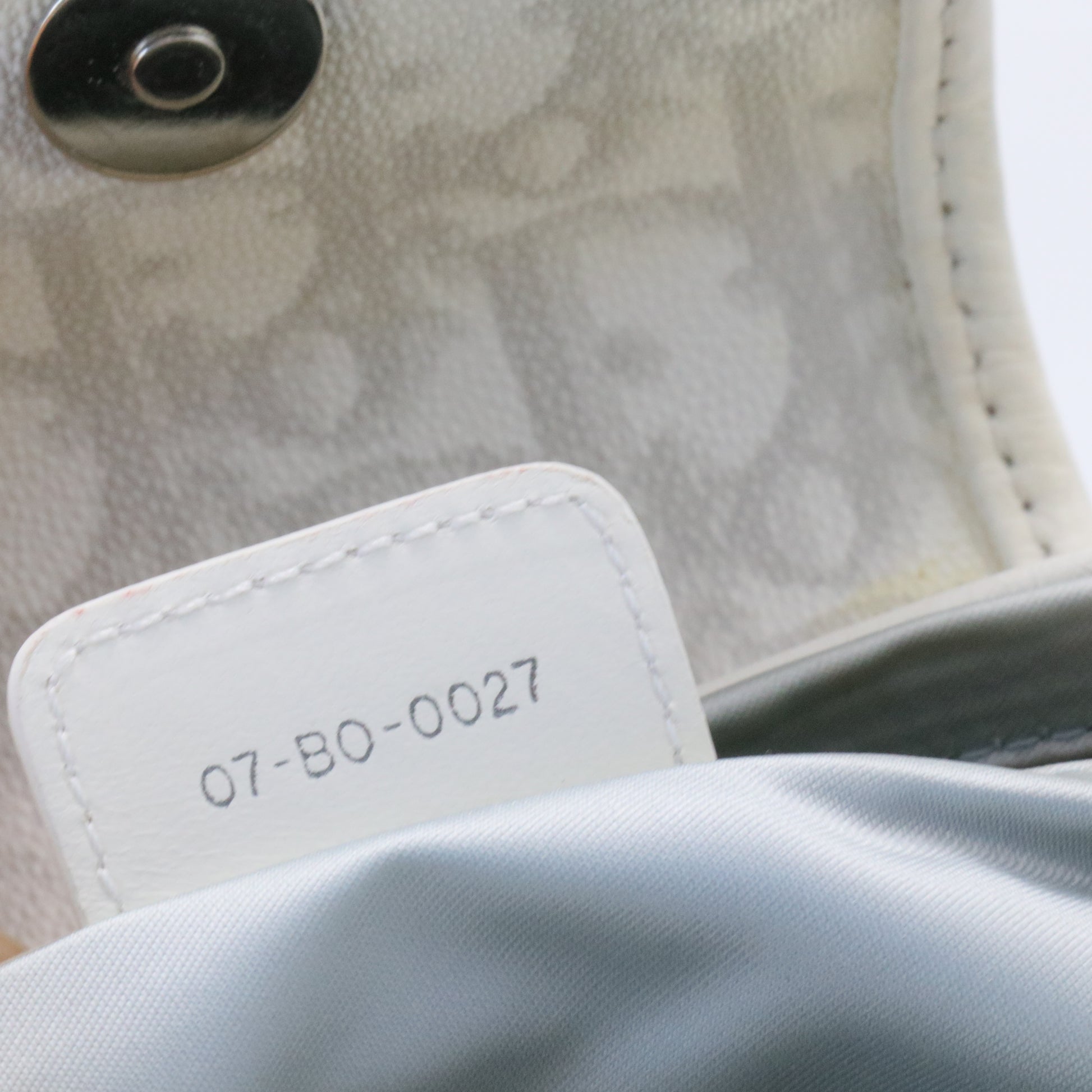 Christian Dior  Monogram Romantique Trotter Bag