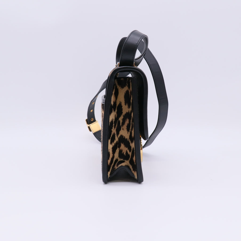 Christian Dior Pony Hair 30 Montaigne Bag twins B23343