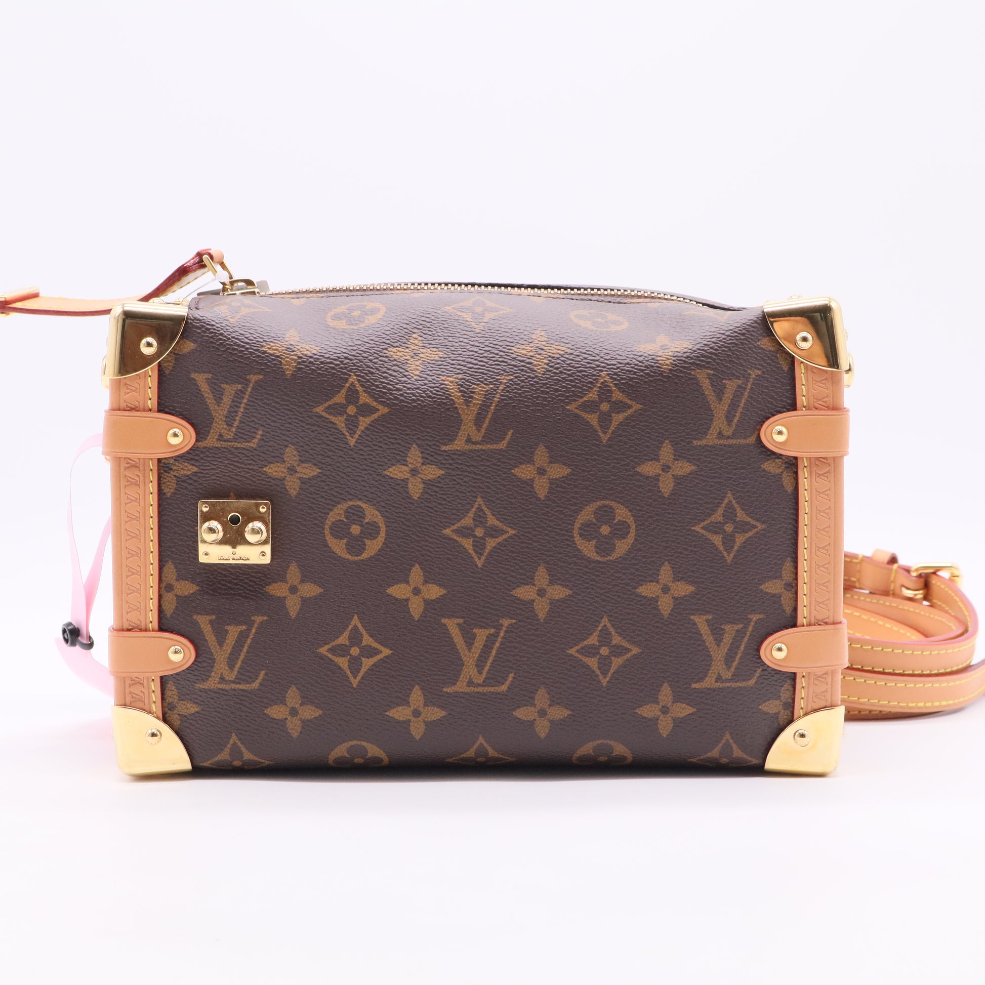 Louis Vuitton Monogram Side Trunk MM twins