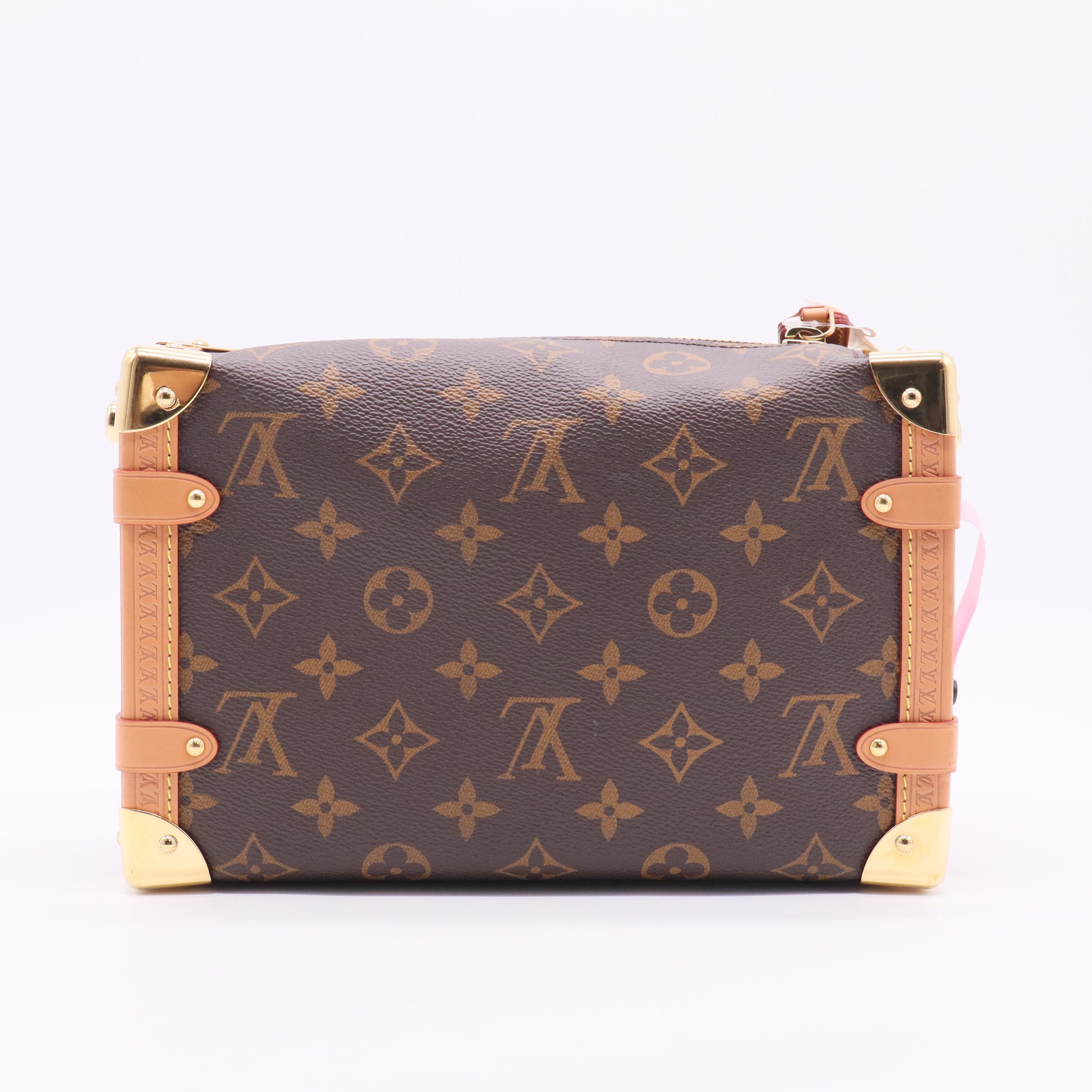 Louis Vuitton Monogram Side Trunk MM twins