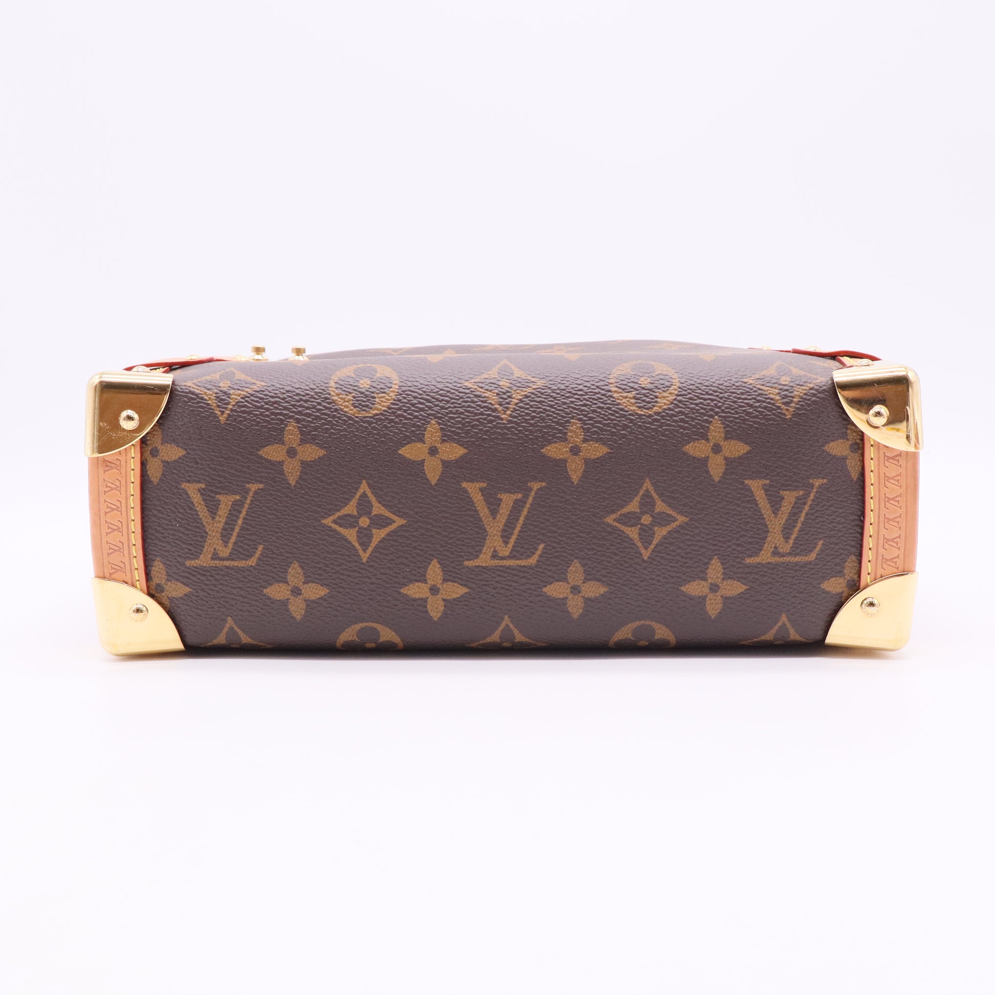 Louis Vuitton Monogram Side Trunk MM twins