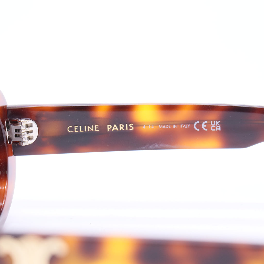Triomphe 15 Sunglasses in Acetate Twins LDJ3739