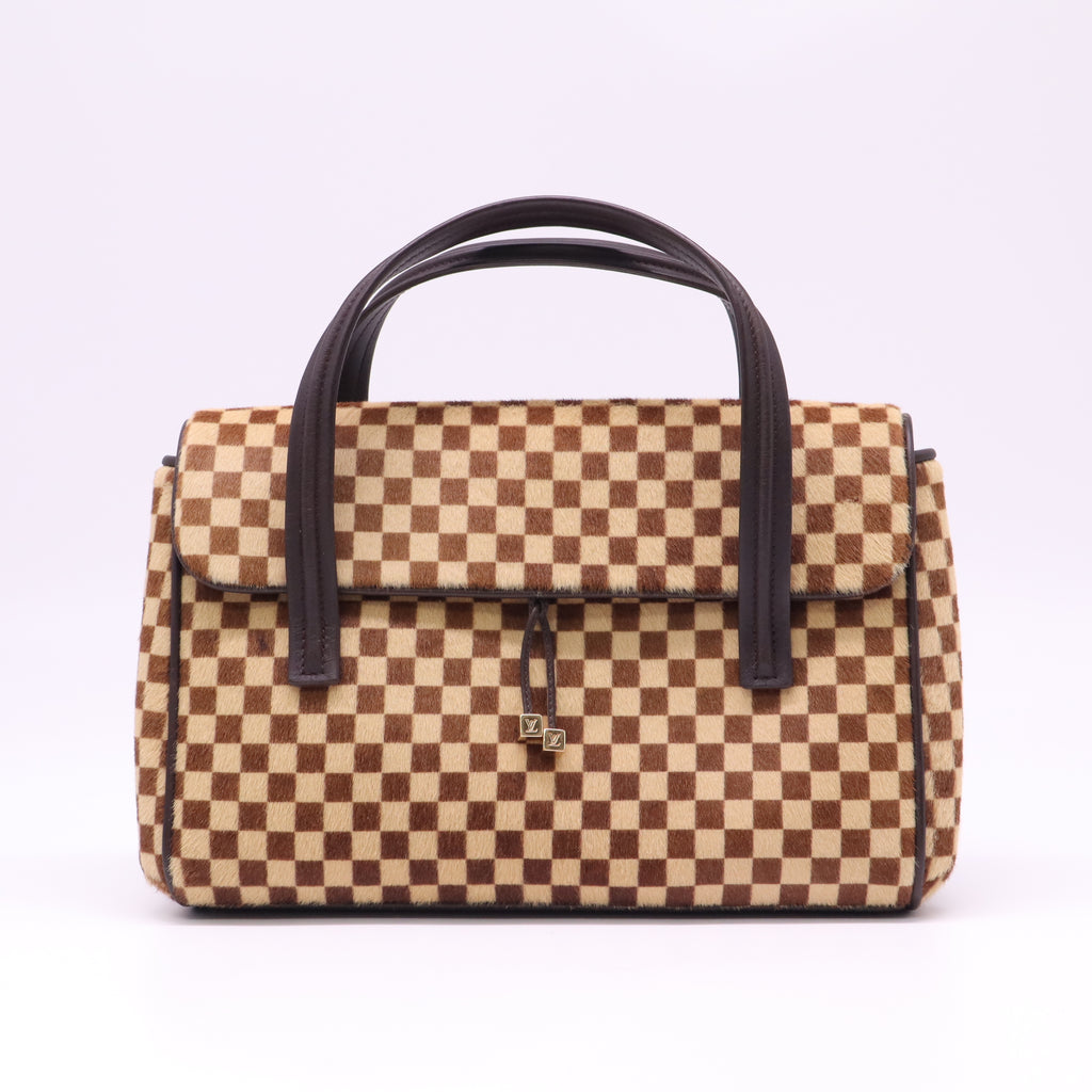 Louis Vuitton Damier Sauvage Lionne Bag B22766