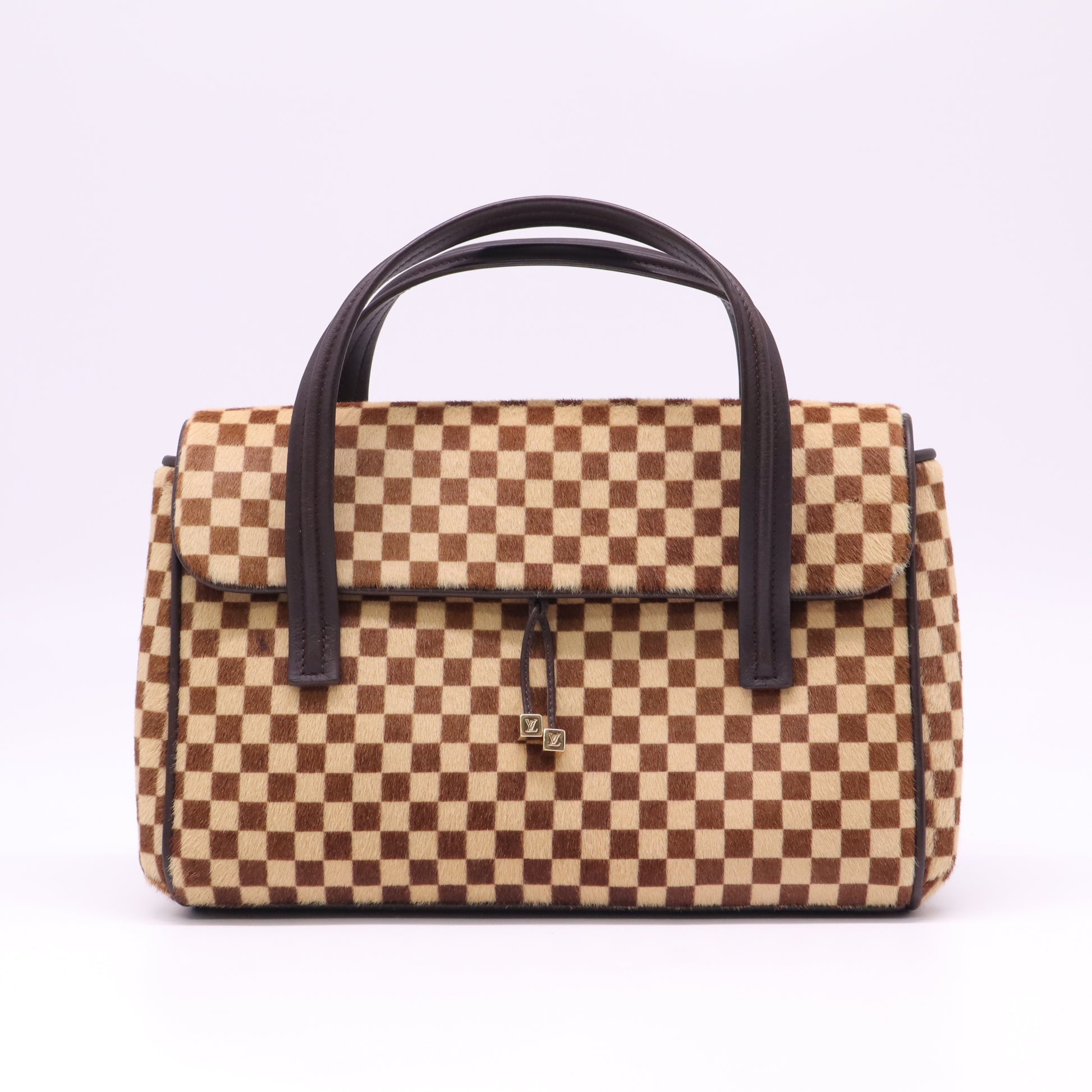 Louis Vuitton Damier Sauvage Lionne Bag B22766