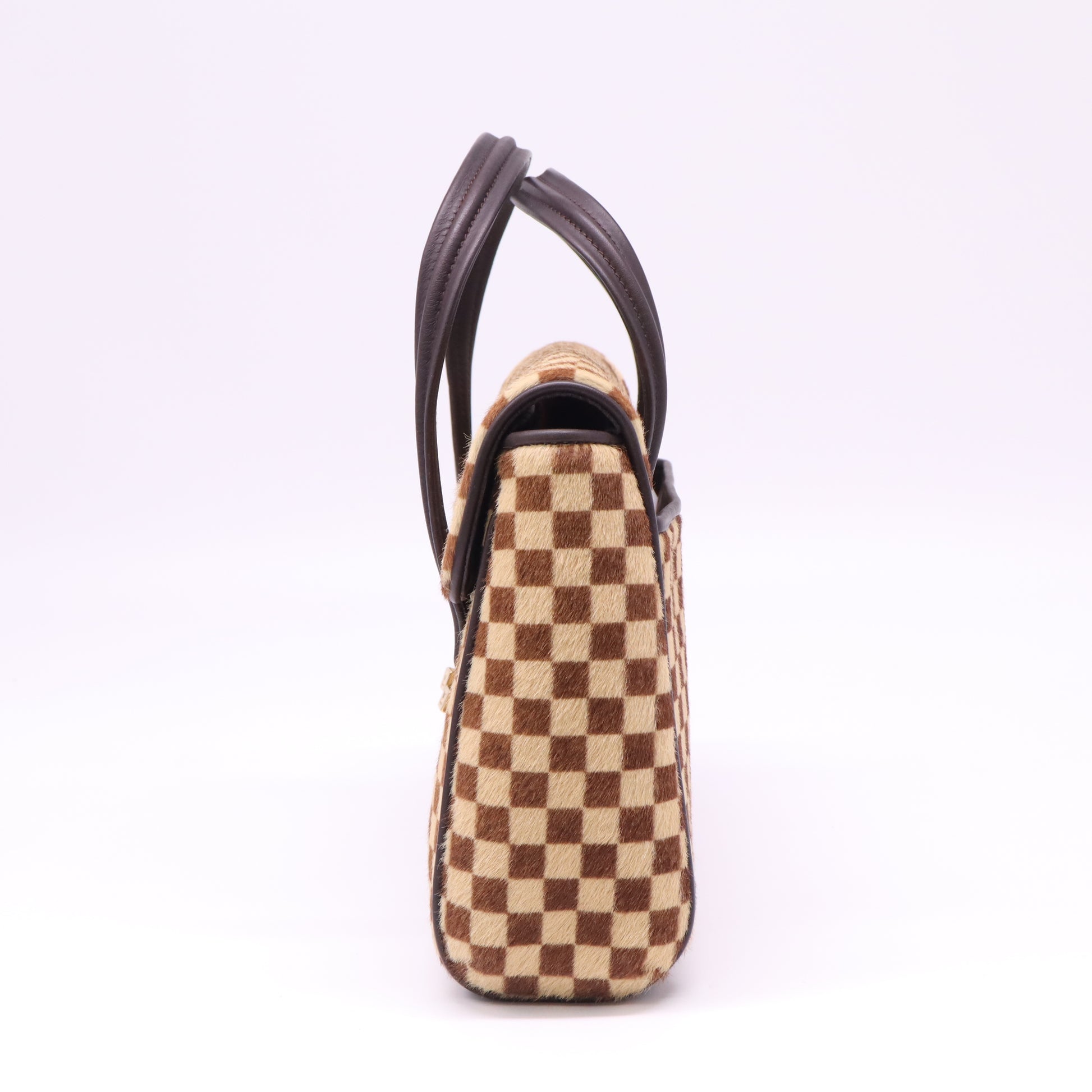 Louis Vuitton Damier Sauvage Lionne Bag B22766