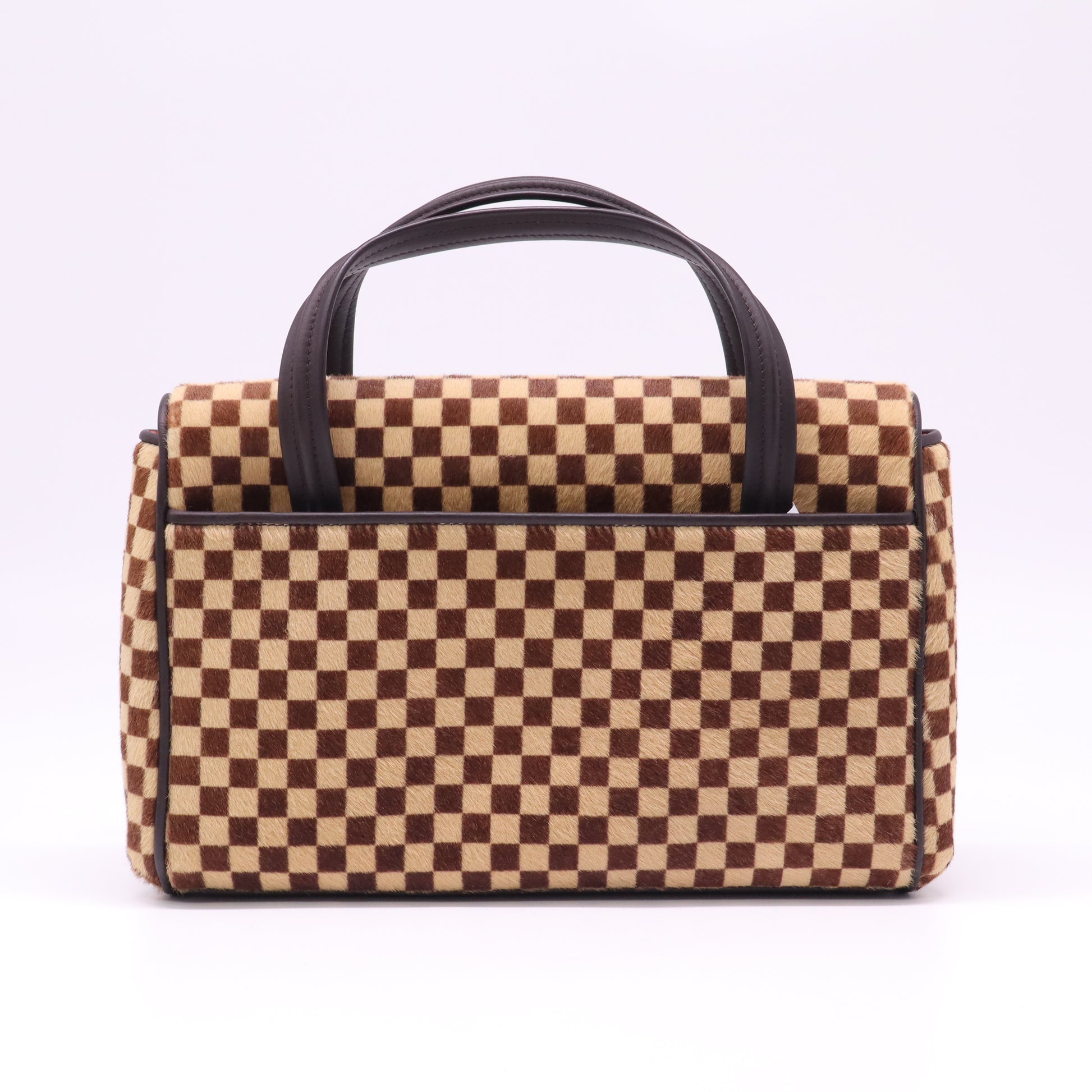 Louis Vuitton Damier Sauvage Lionne Bag B22766