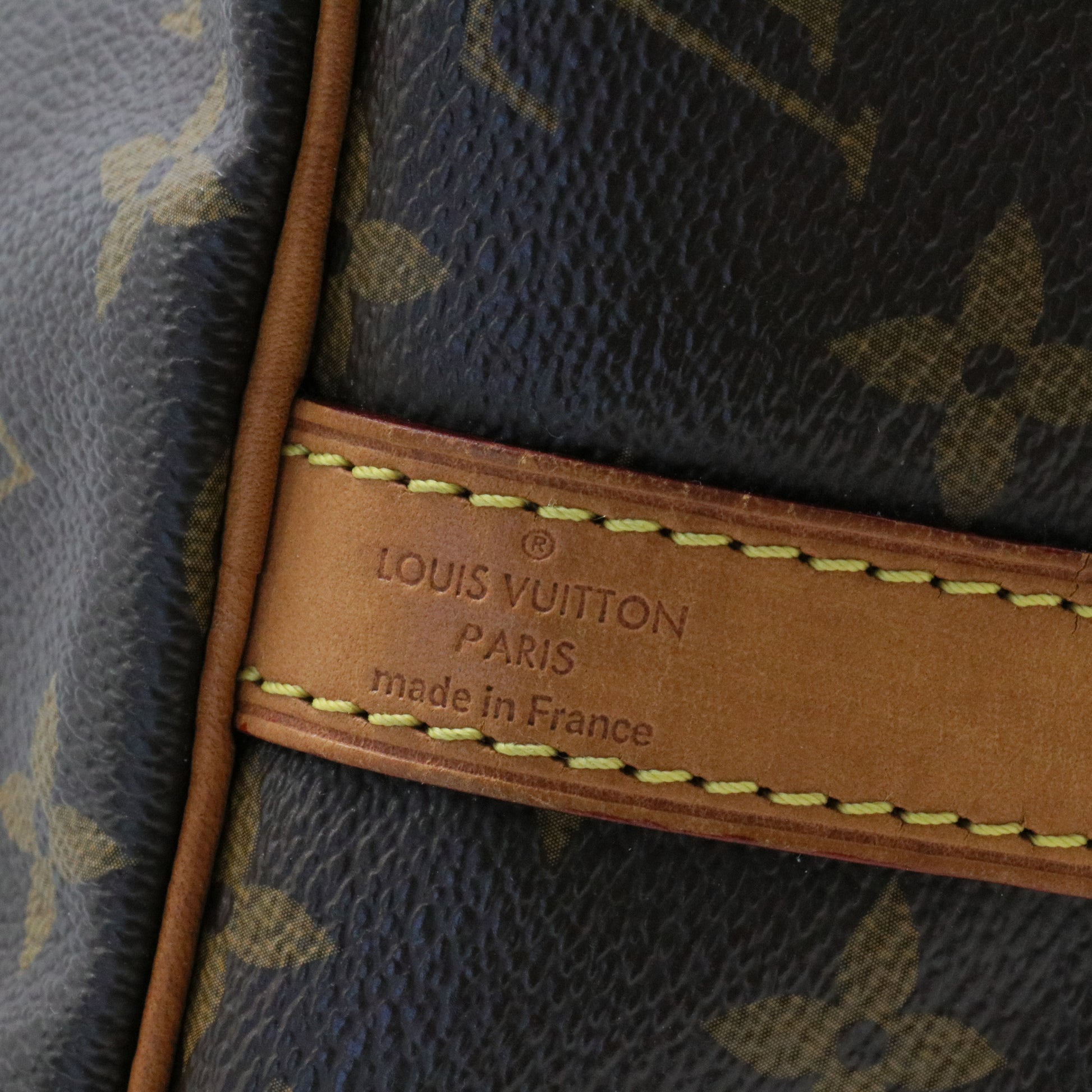 Speedy Handbag Monogram Canvas 30
