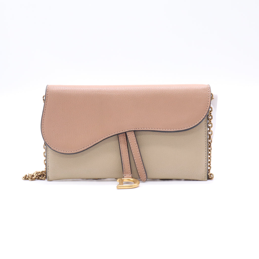 Dior Saddle Wallet on Chain (WOC) B23603