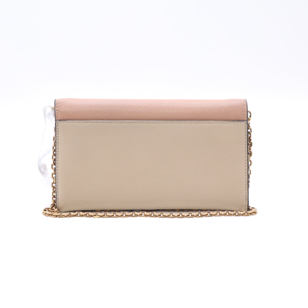 Dior Saddle Wallet on Chain (WOC) B23603