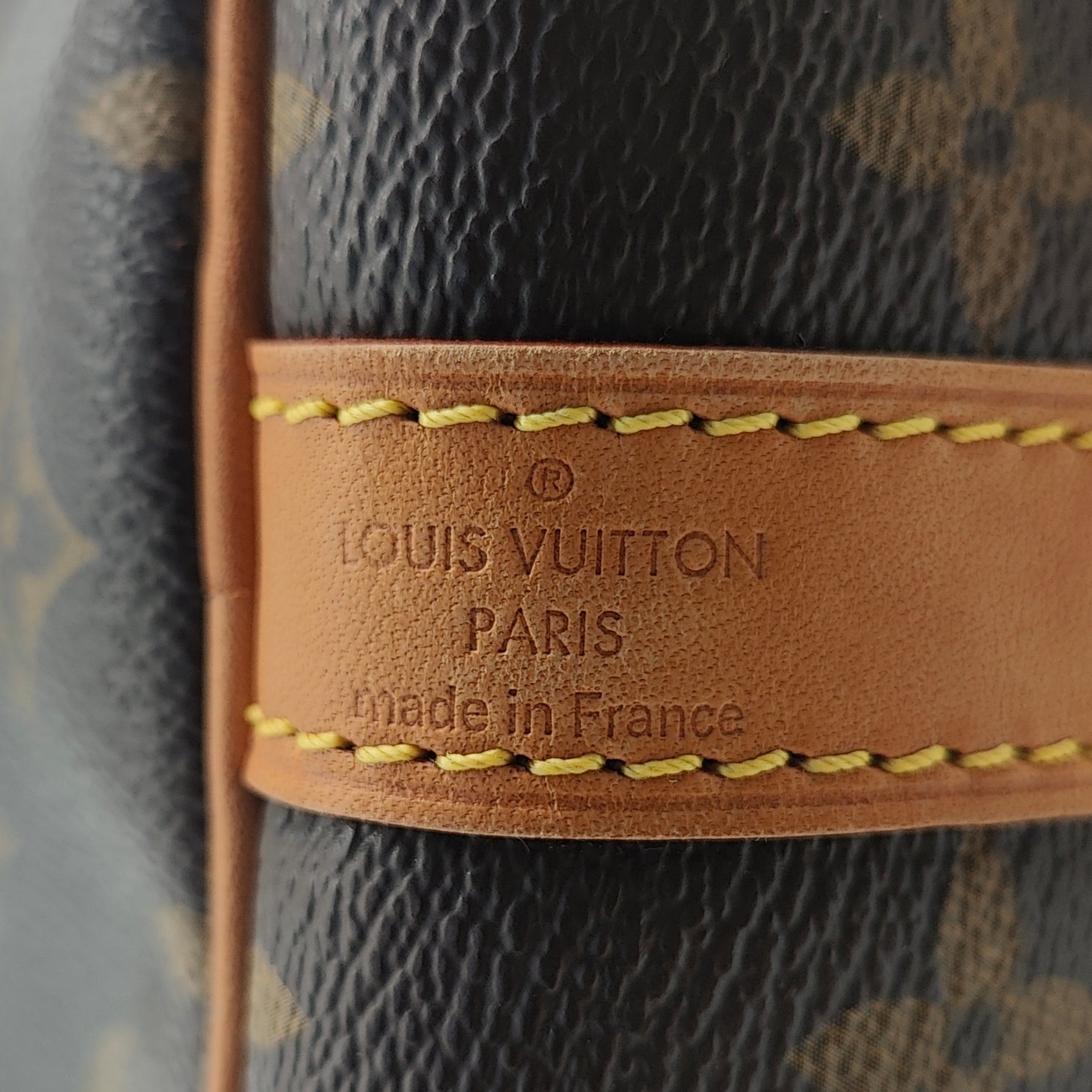 Speedy Handbag Monogram Canvas 35