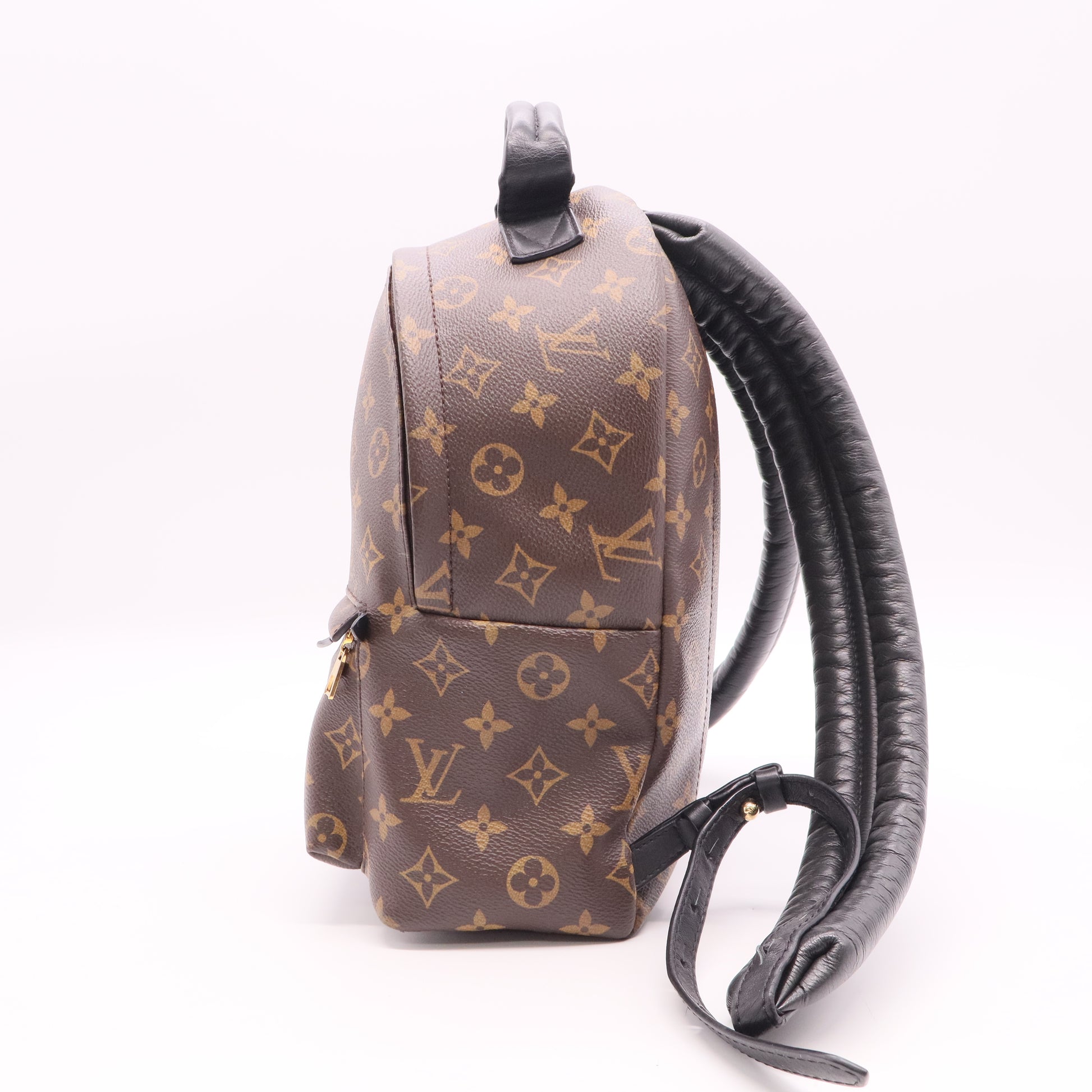 Palm Springs Backpack Monogram Canvas PM Twins