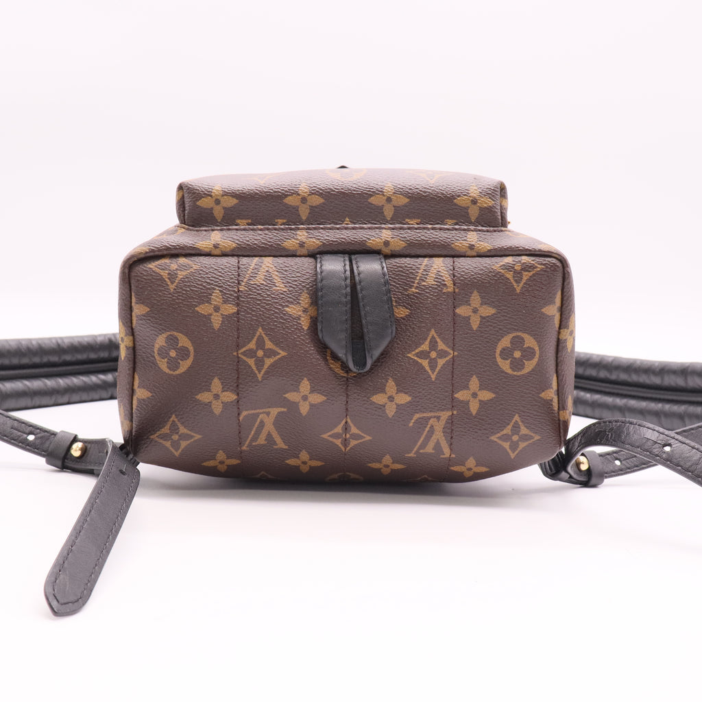 Palm Springs Backpack Monogram Canvas PM Twins