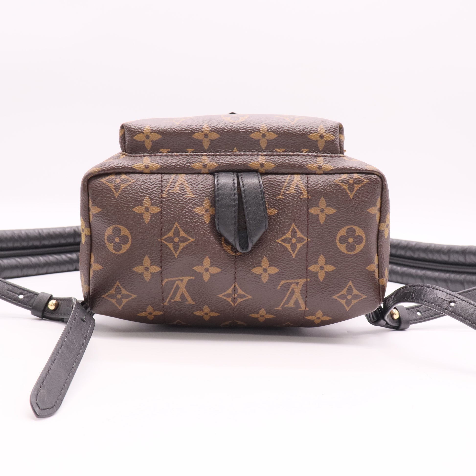 Palm Springs Backpack Monogram Canvas PM Twins