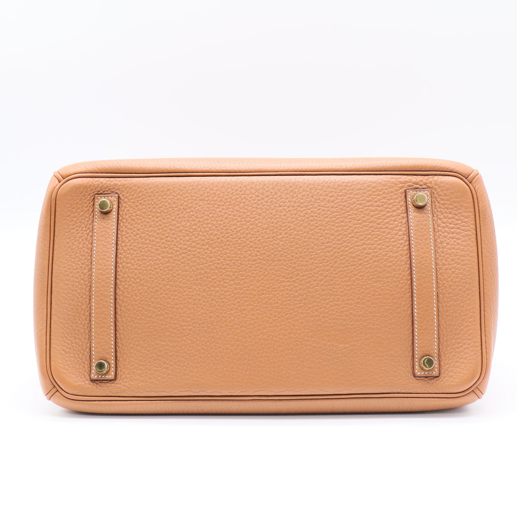 Birkin Handbag with Gold Hardware 35