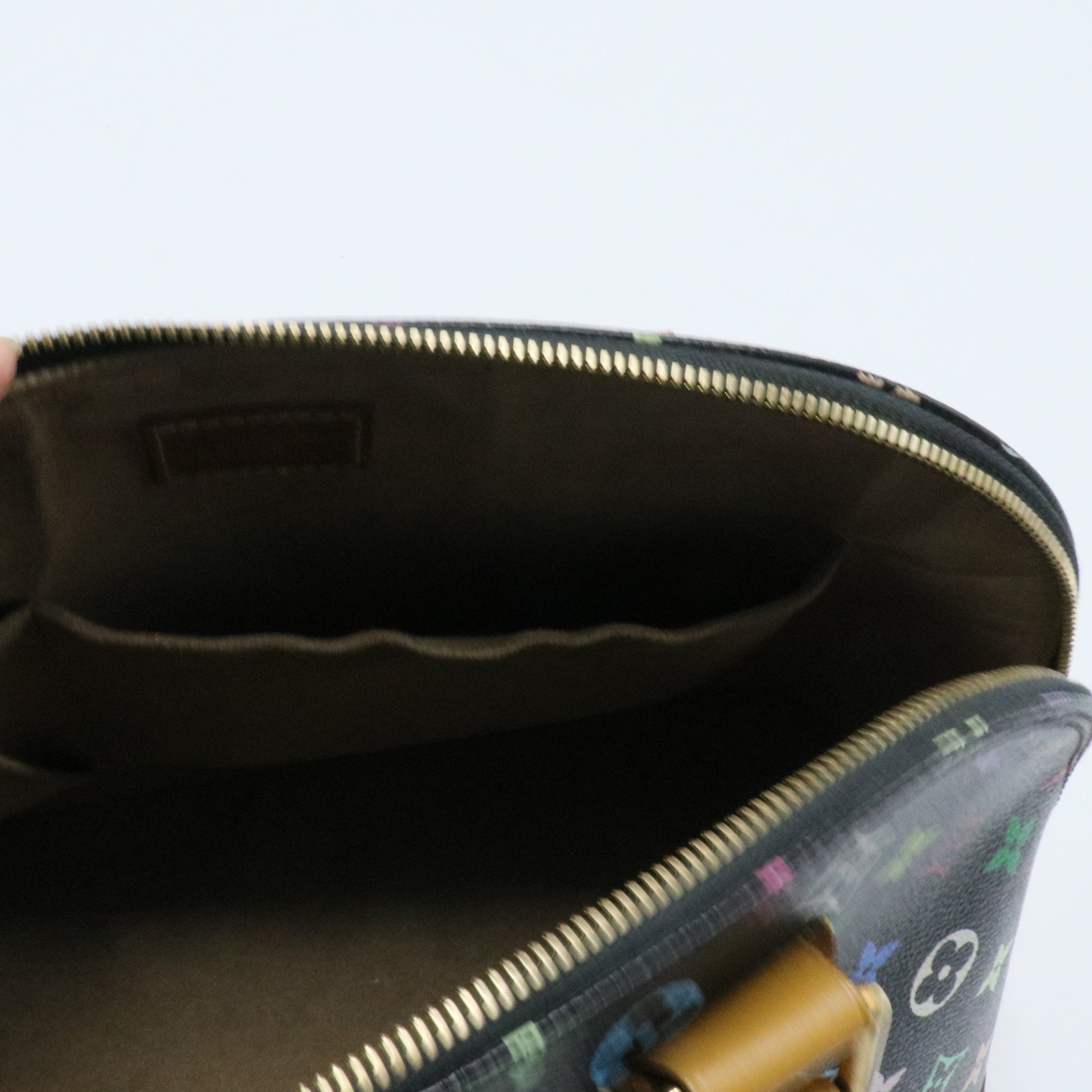 Alma Handbag Monogram Multicolor PM