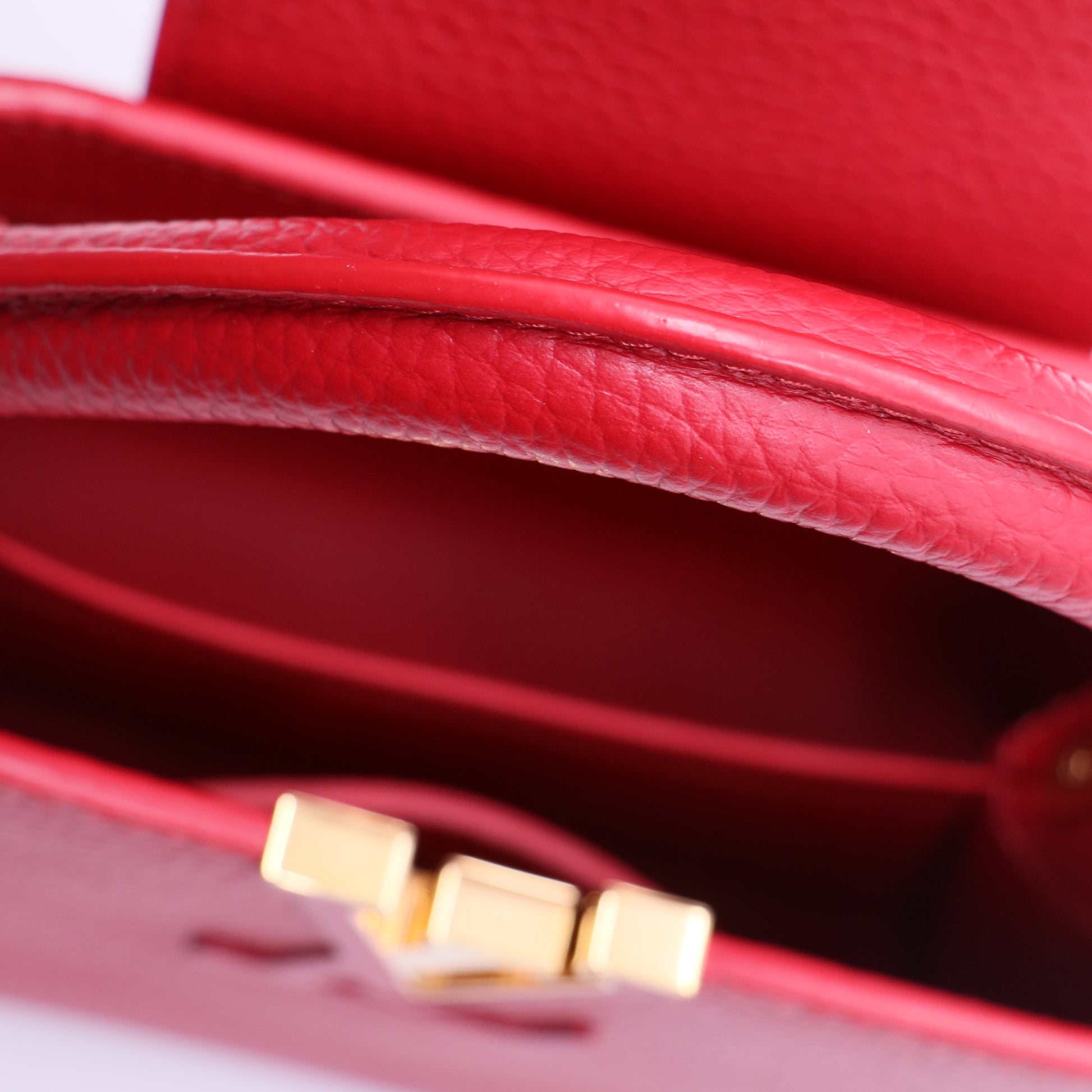 Capucine Bag Leather with Monogram Tuffetage Leather Strap Mini Twins LDJ3731