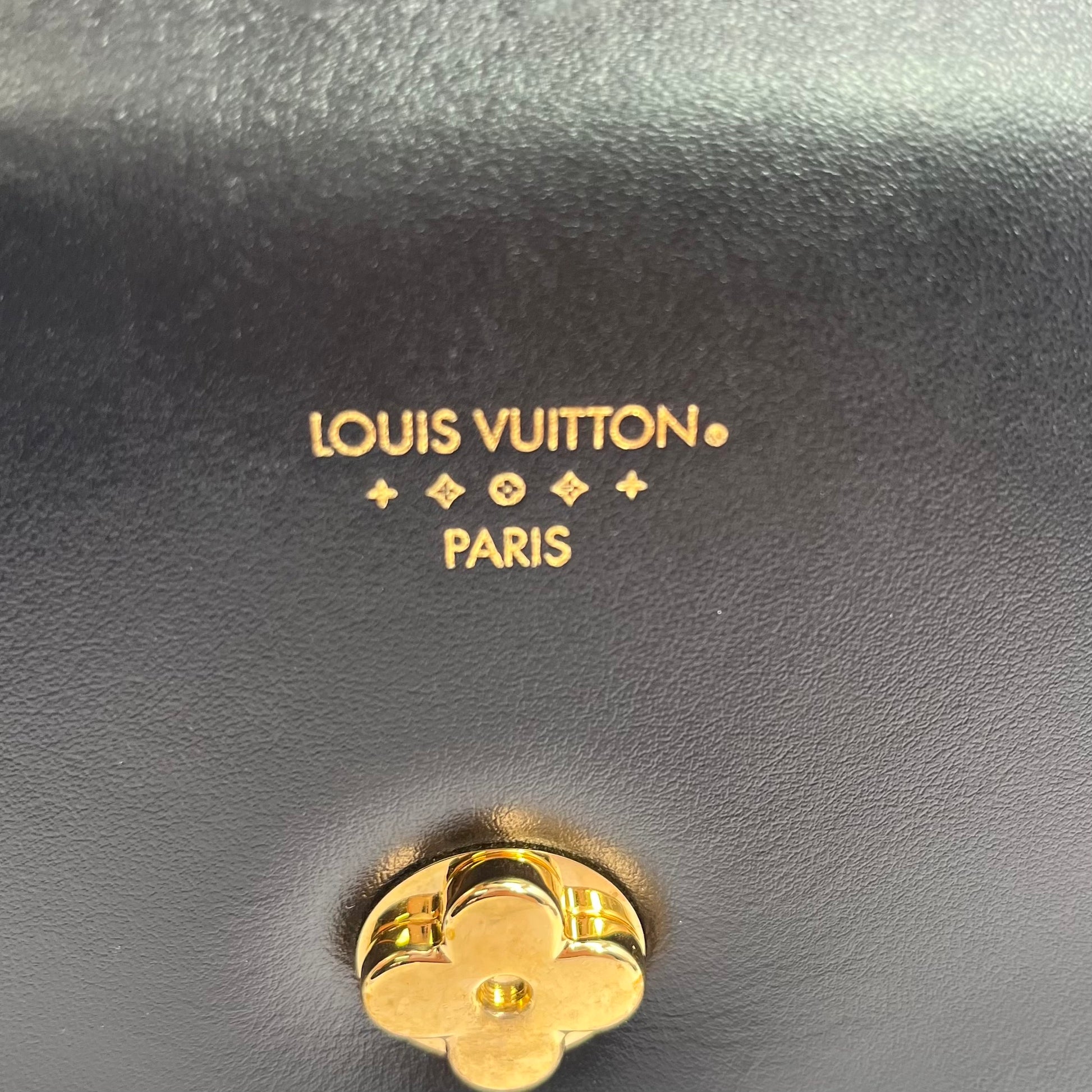 Smooth Calfskin LV Pont 9 Black twins