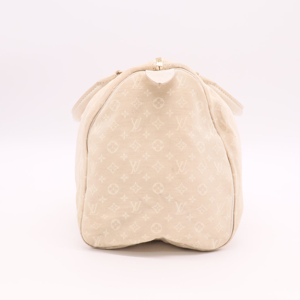 Speedy Handbag Mini Lin 30
