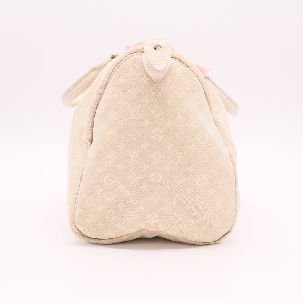 Speedy Handbag Mini Lin 30