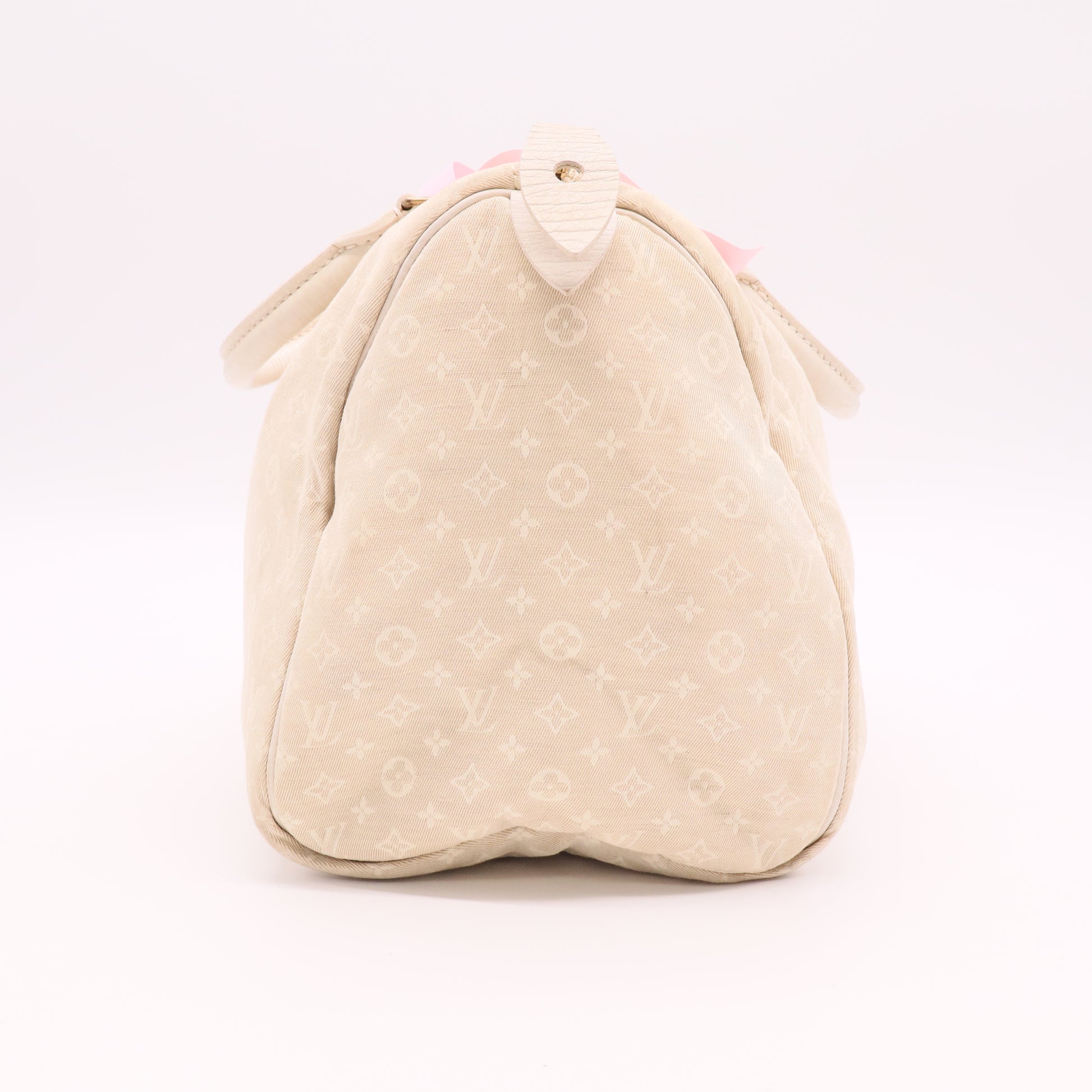 Speedy Handbag Mini Lin 30