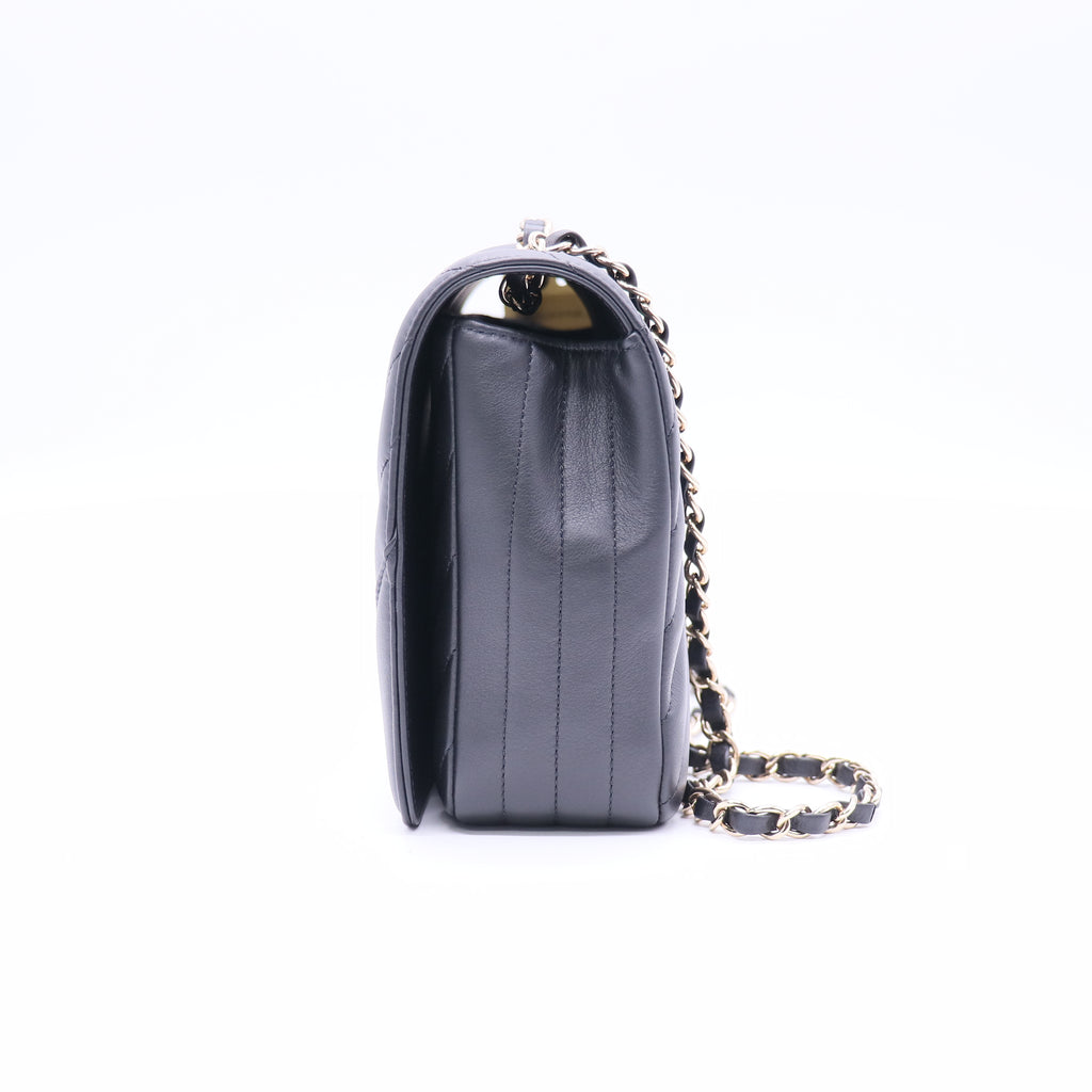 Statement Flap Bag Chevron Calfskin Medium Twins LDJ3699
