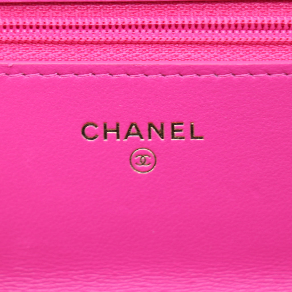 Chanel 19 Wallet On Chain with Coin Purse Pink Twins LDJ3721