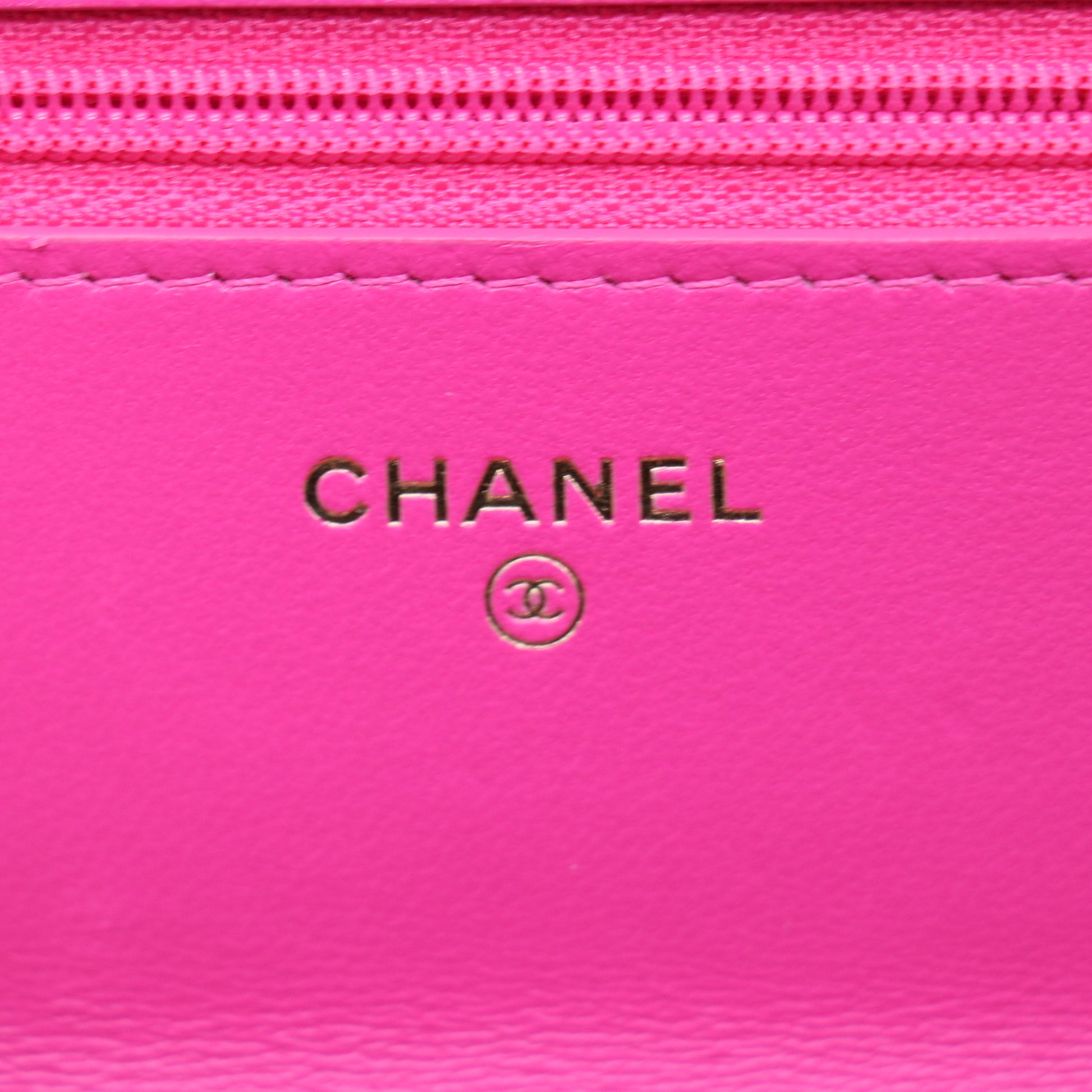 Chanel 19 Wallet On Chain with Coin Purse Pink Twins LDJ3721